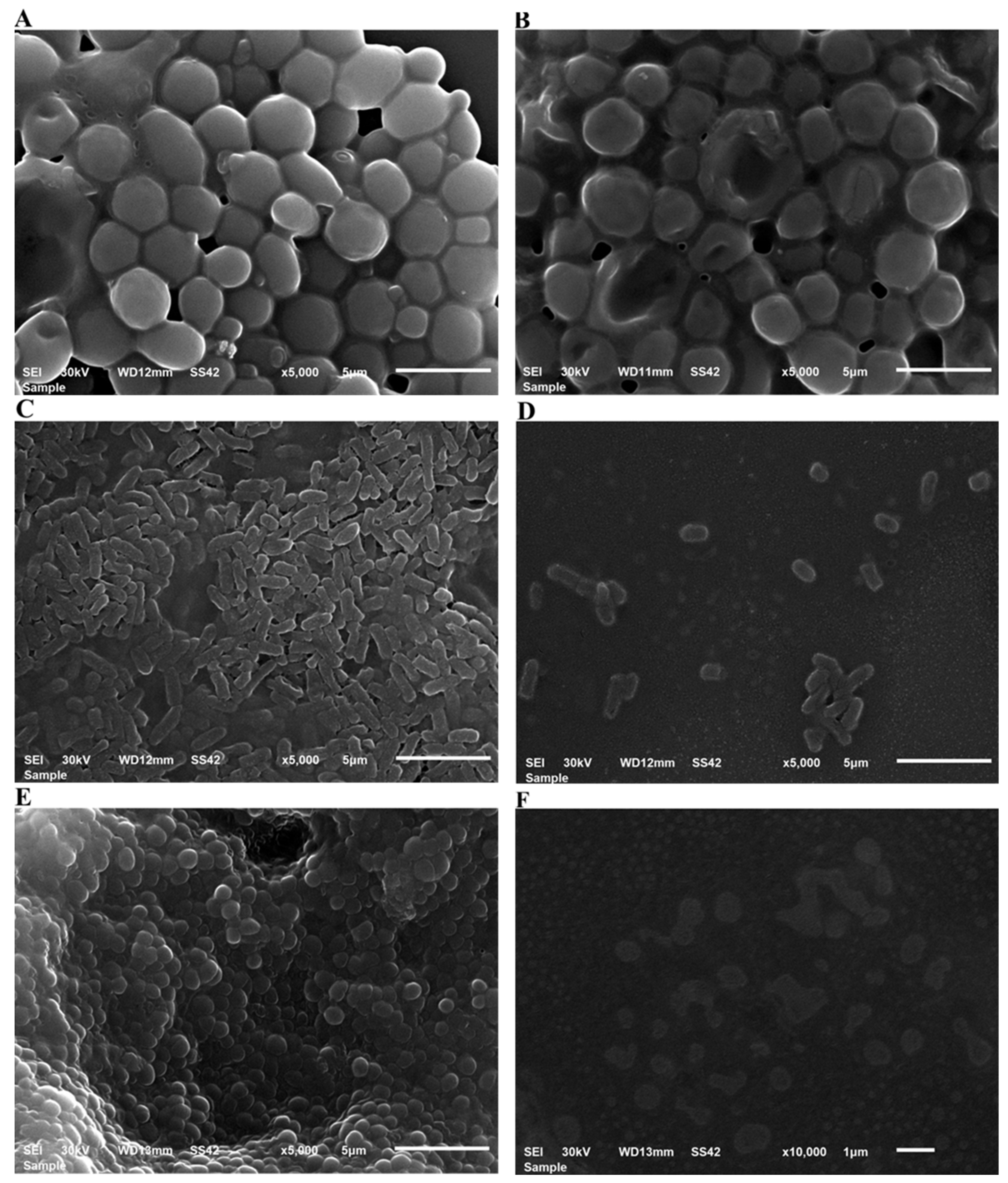 Polymers 14 02637 g006