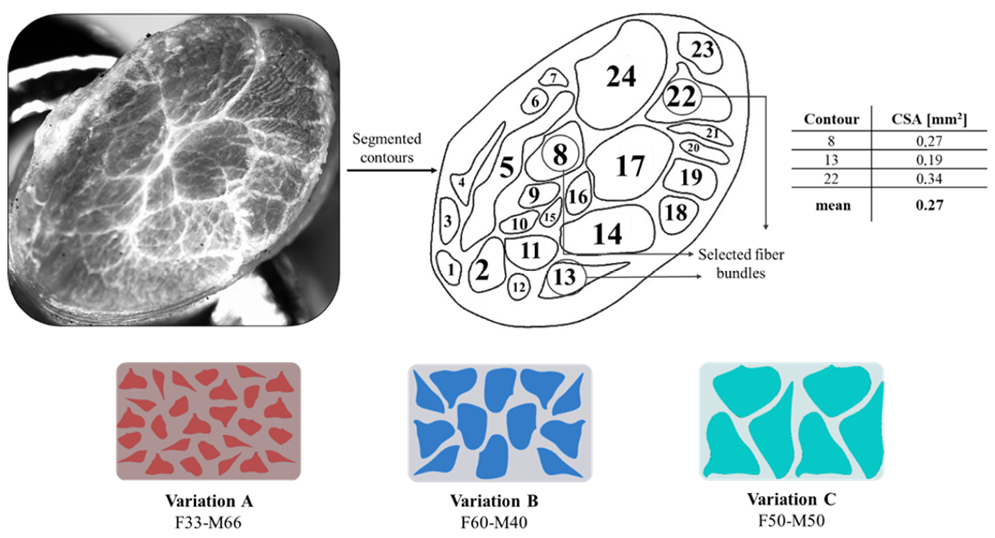 Polymers 14 02639 g006 550