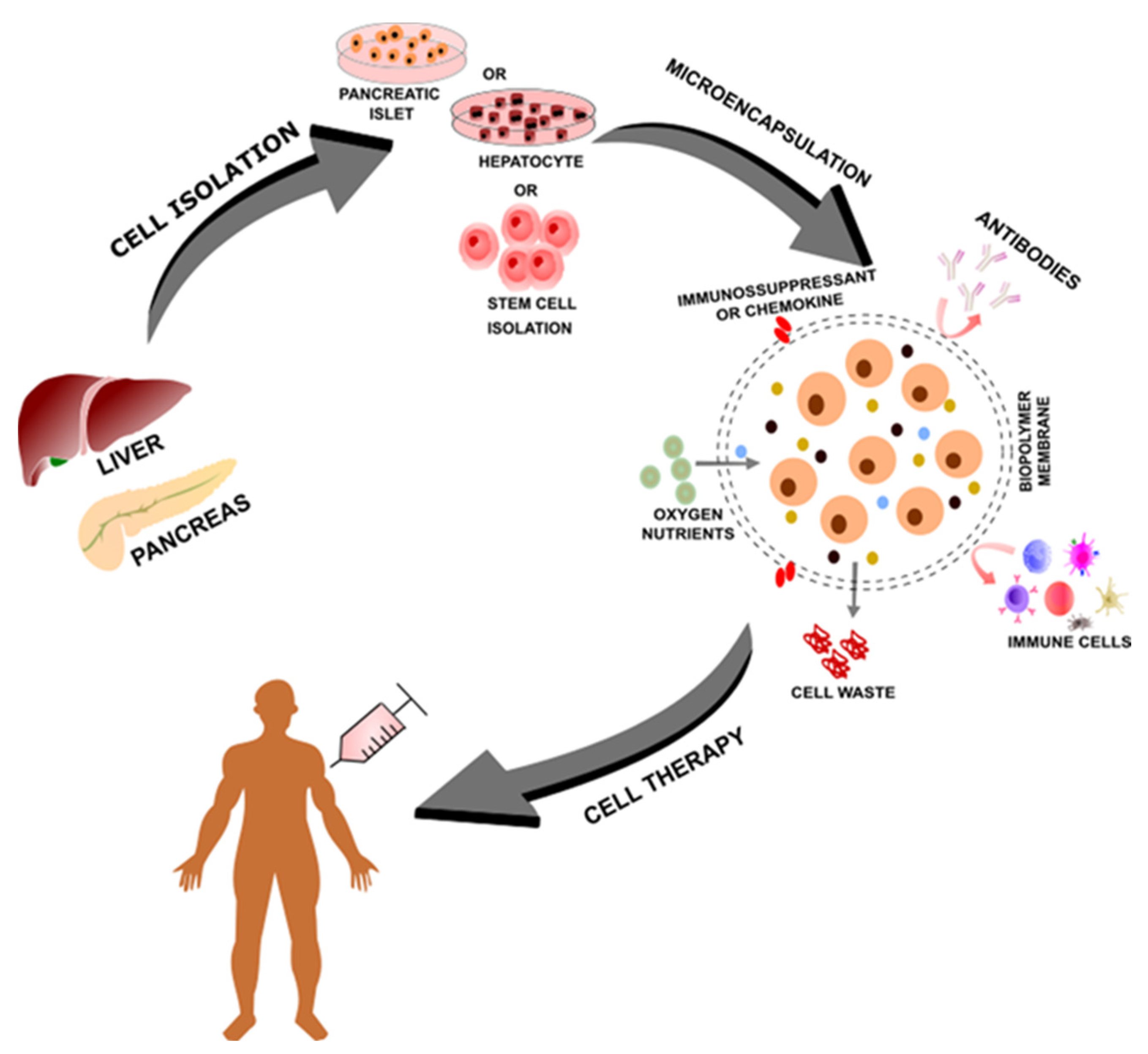 Polymers 14 02641 g001 550