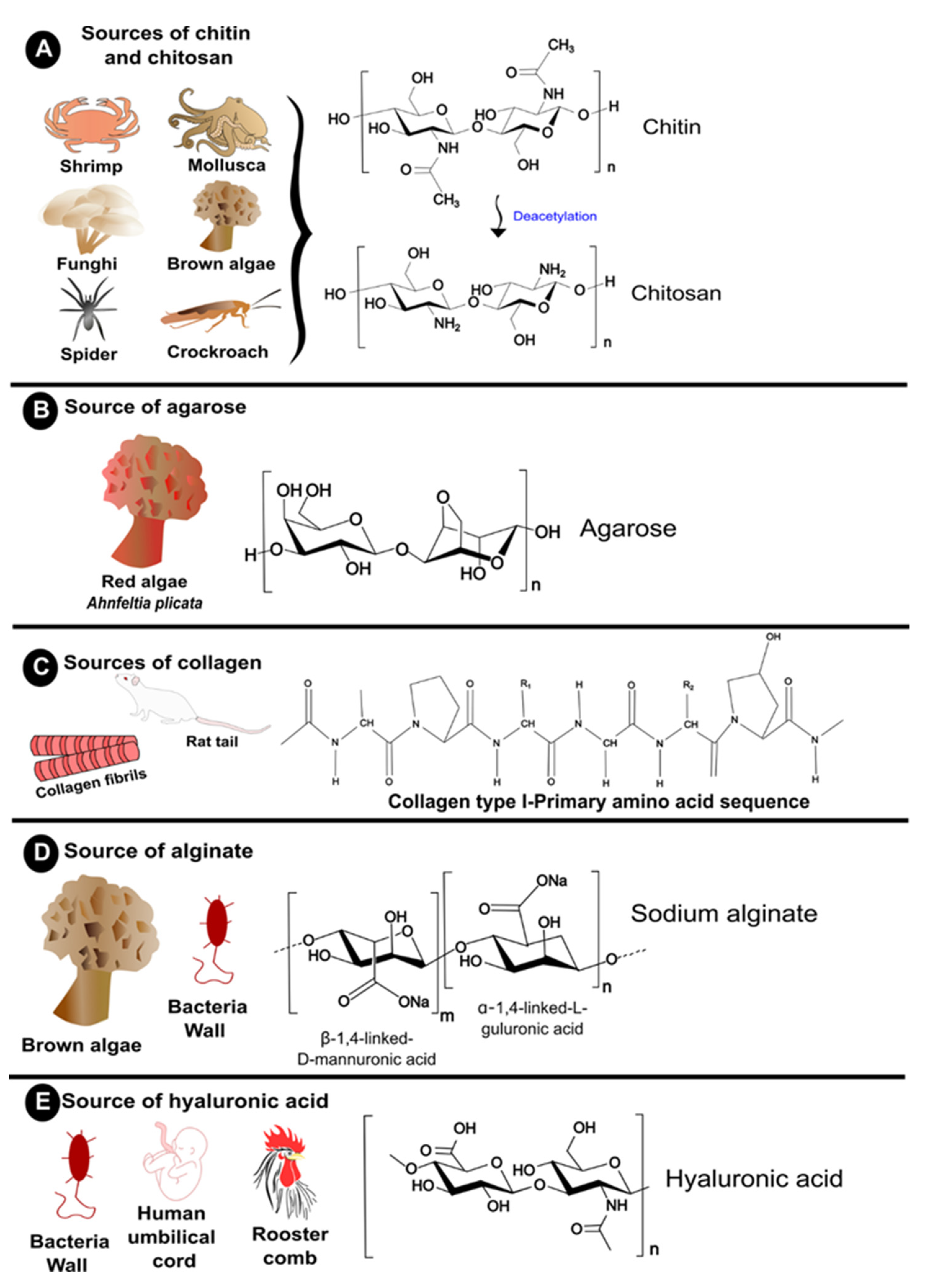 Polymers 14 02641 g002 550