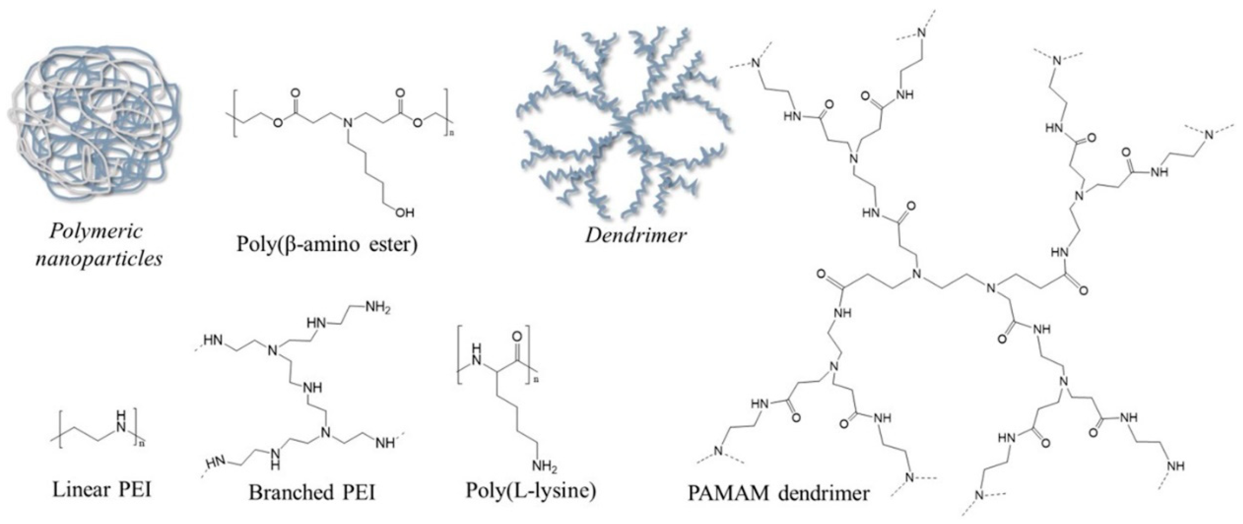 Polymers 14 02647 g001 550