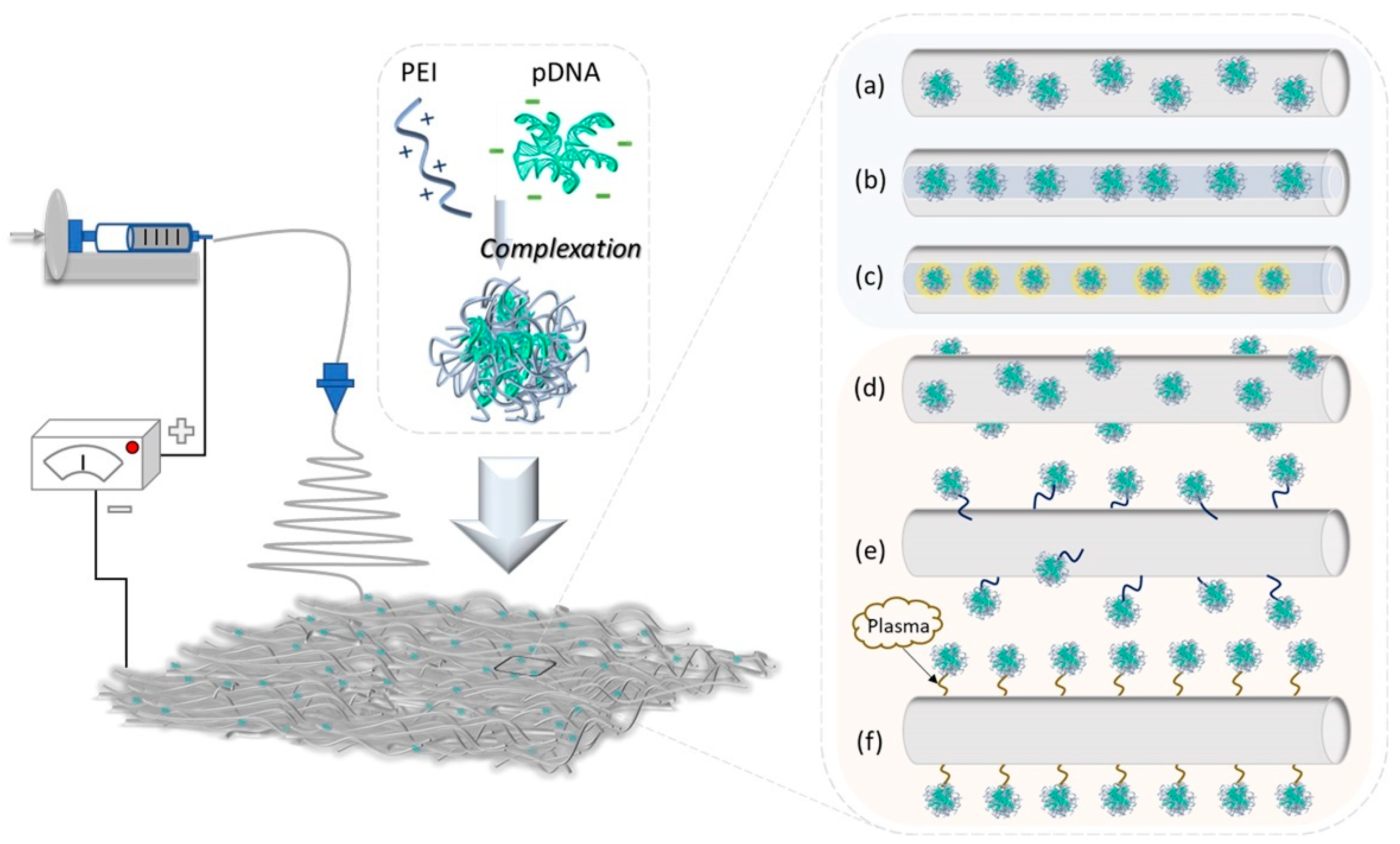 Polymers 14 02647 g002 550