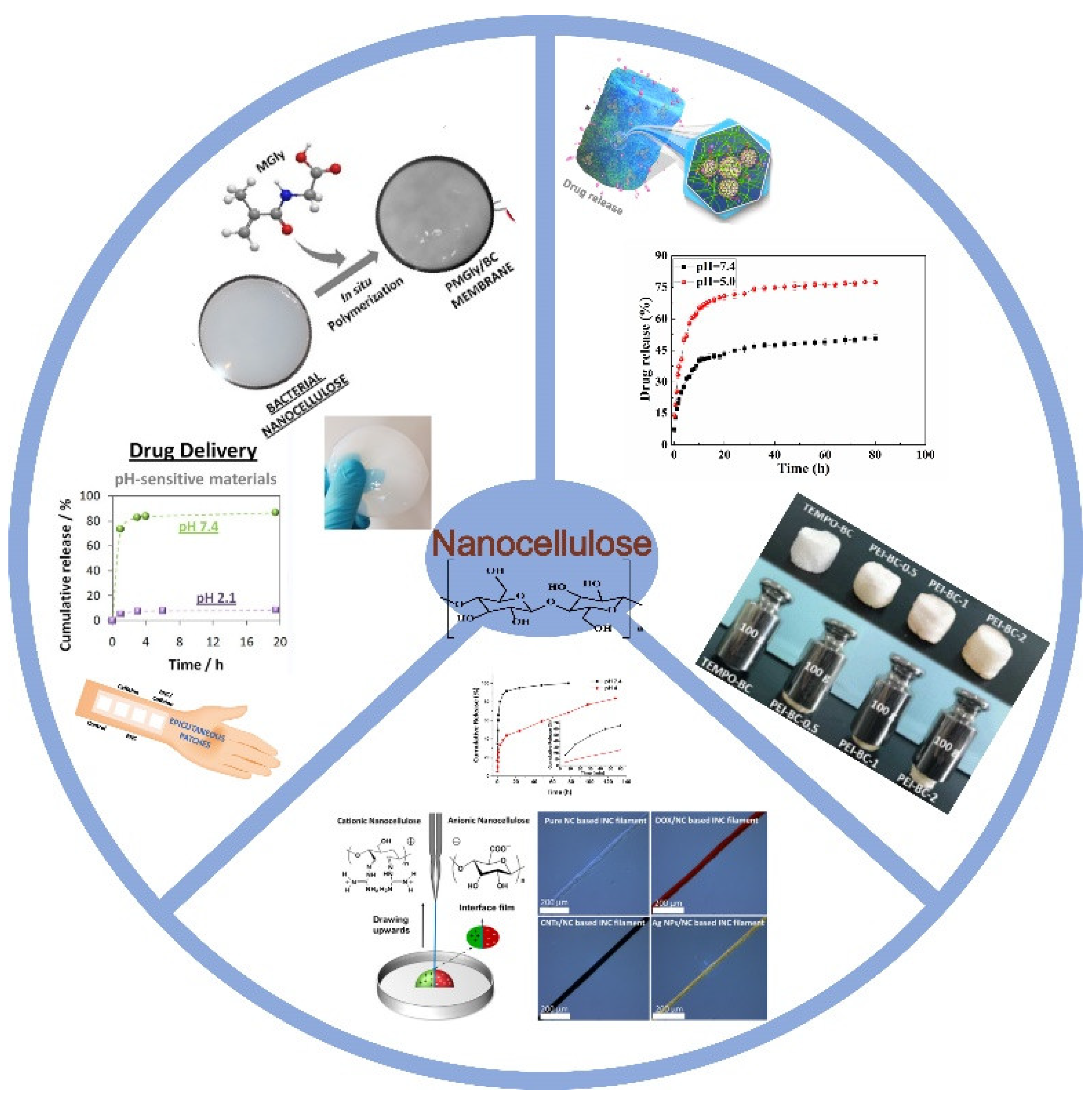 Polymers 14 02648 g001