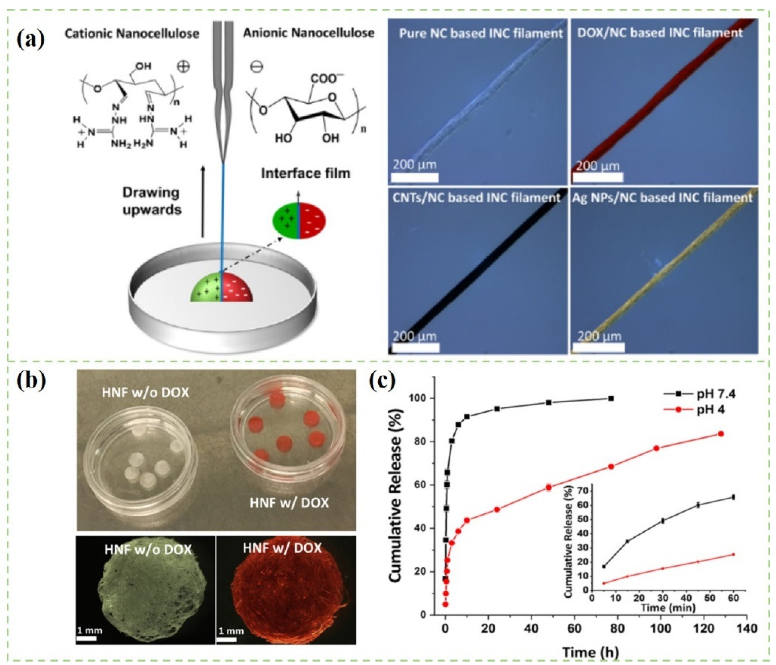 Polymers 14 02648 g002