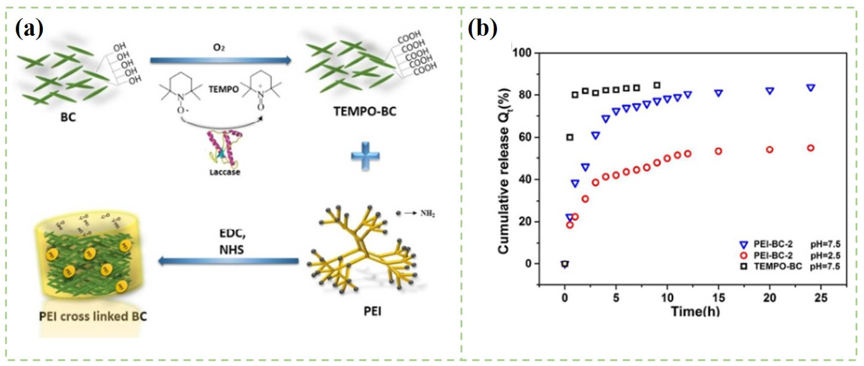 Polymers 14 02648 g006