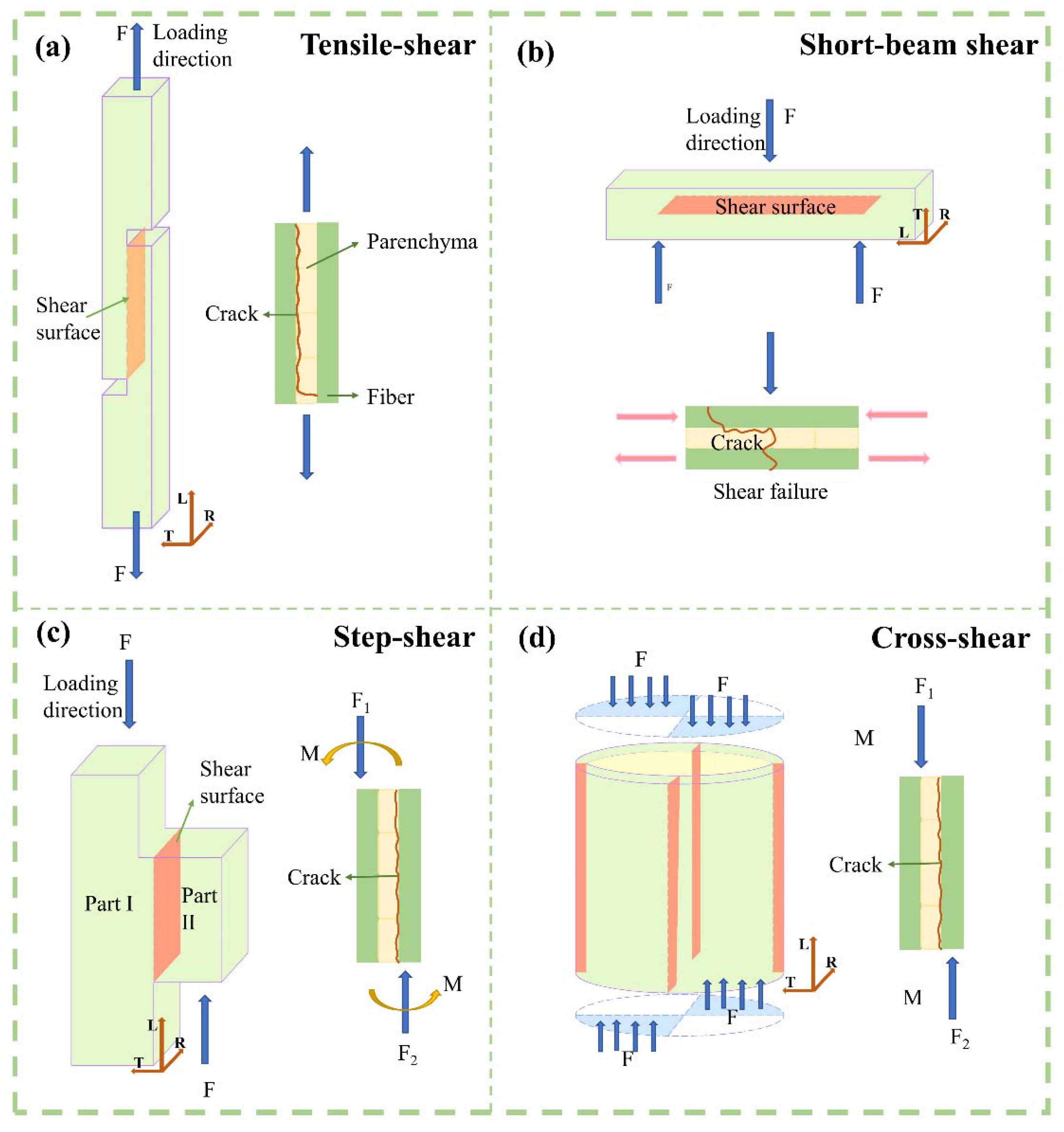 Polymers 14 02649 g002