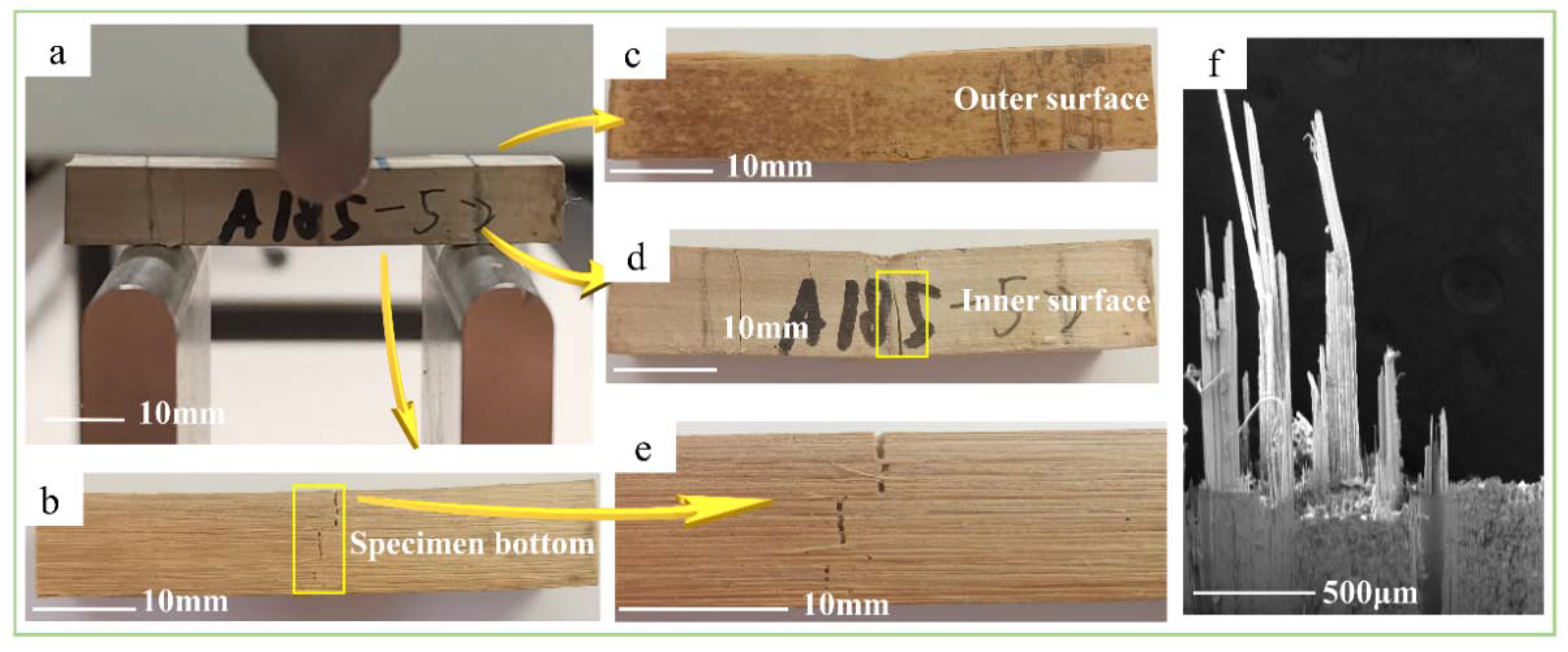 Polymers 14 02649 g005