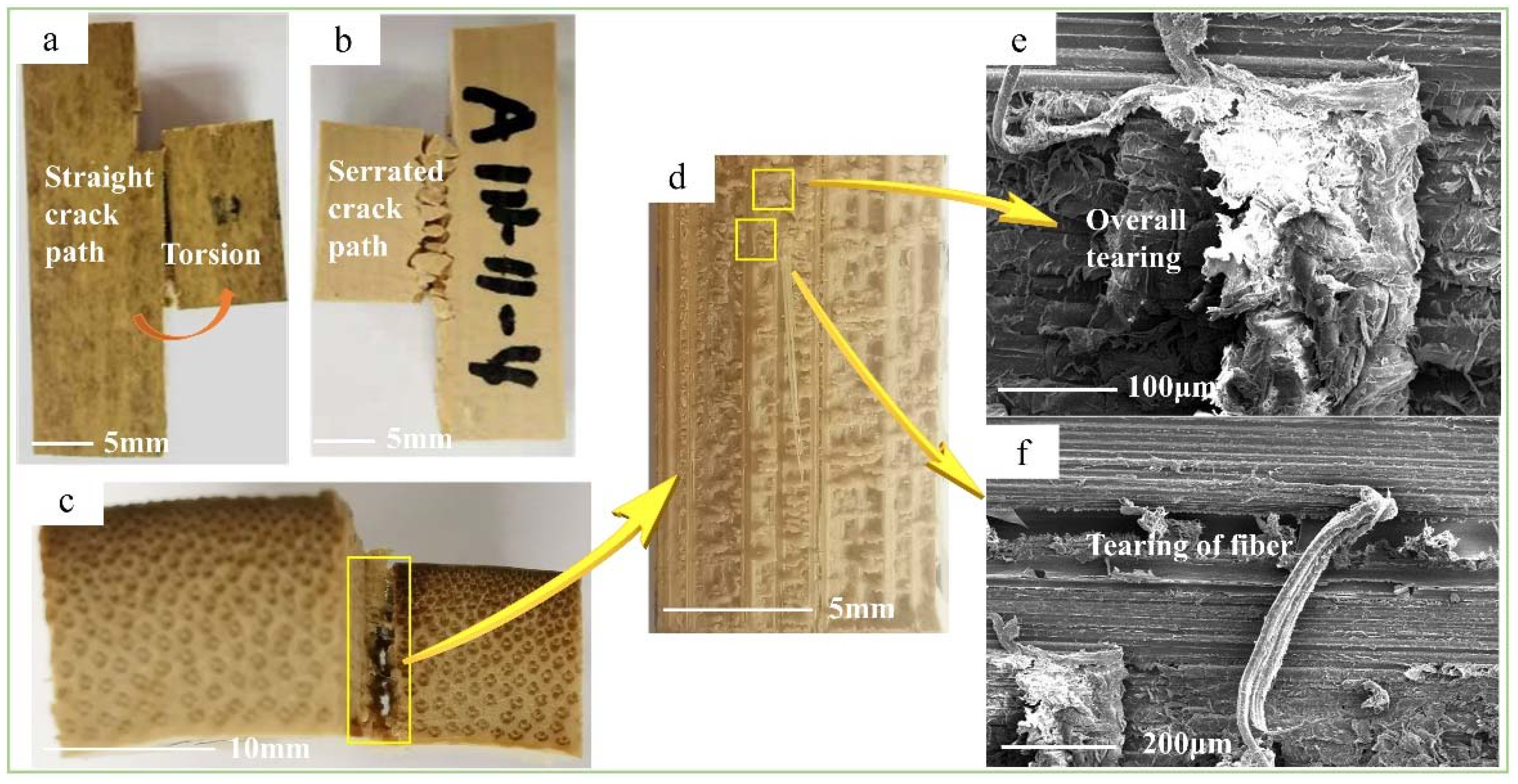 Polymers 14 02649 g006