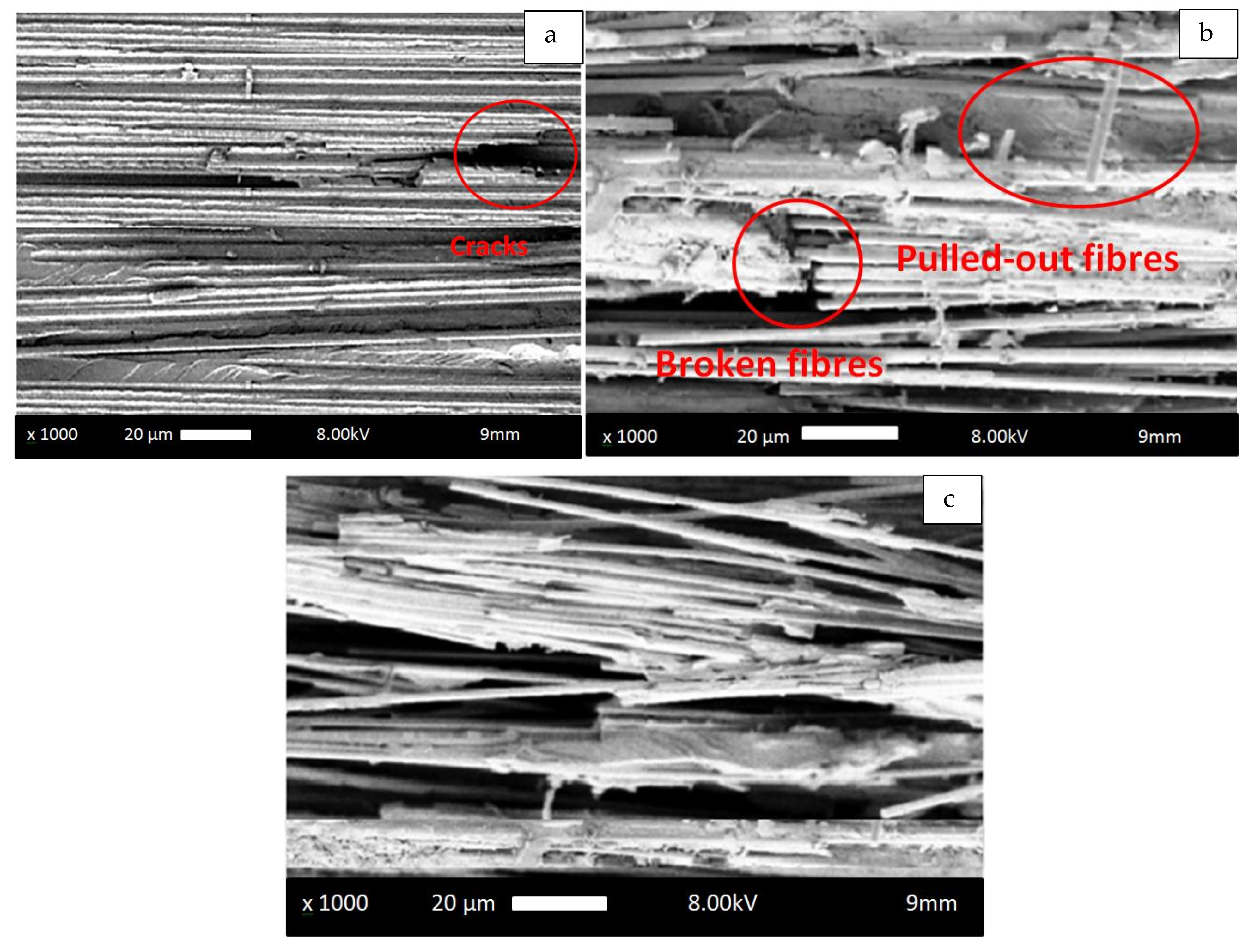 Polymers 14 02662 g011 550