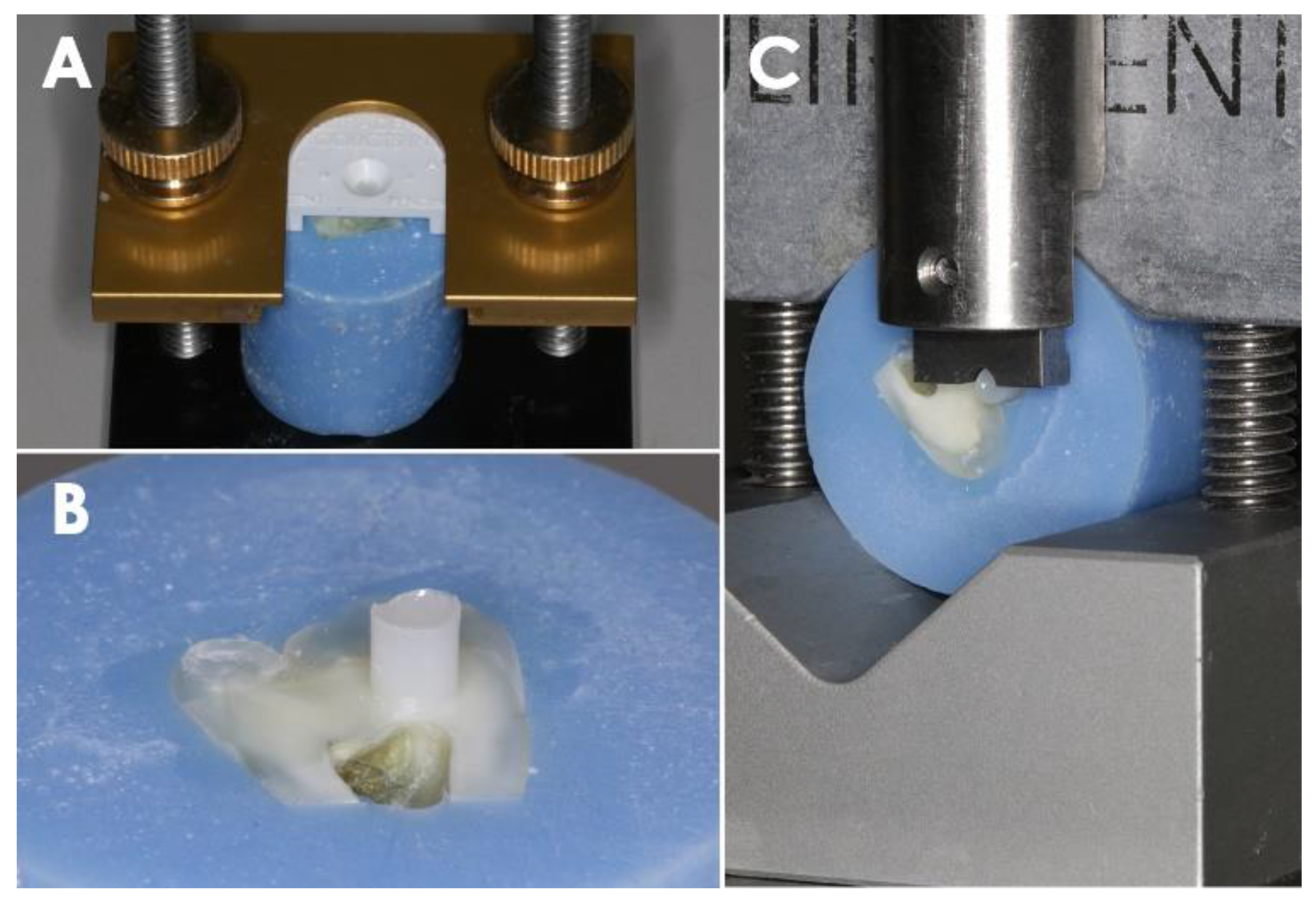 Polymers 14 02665 g001