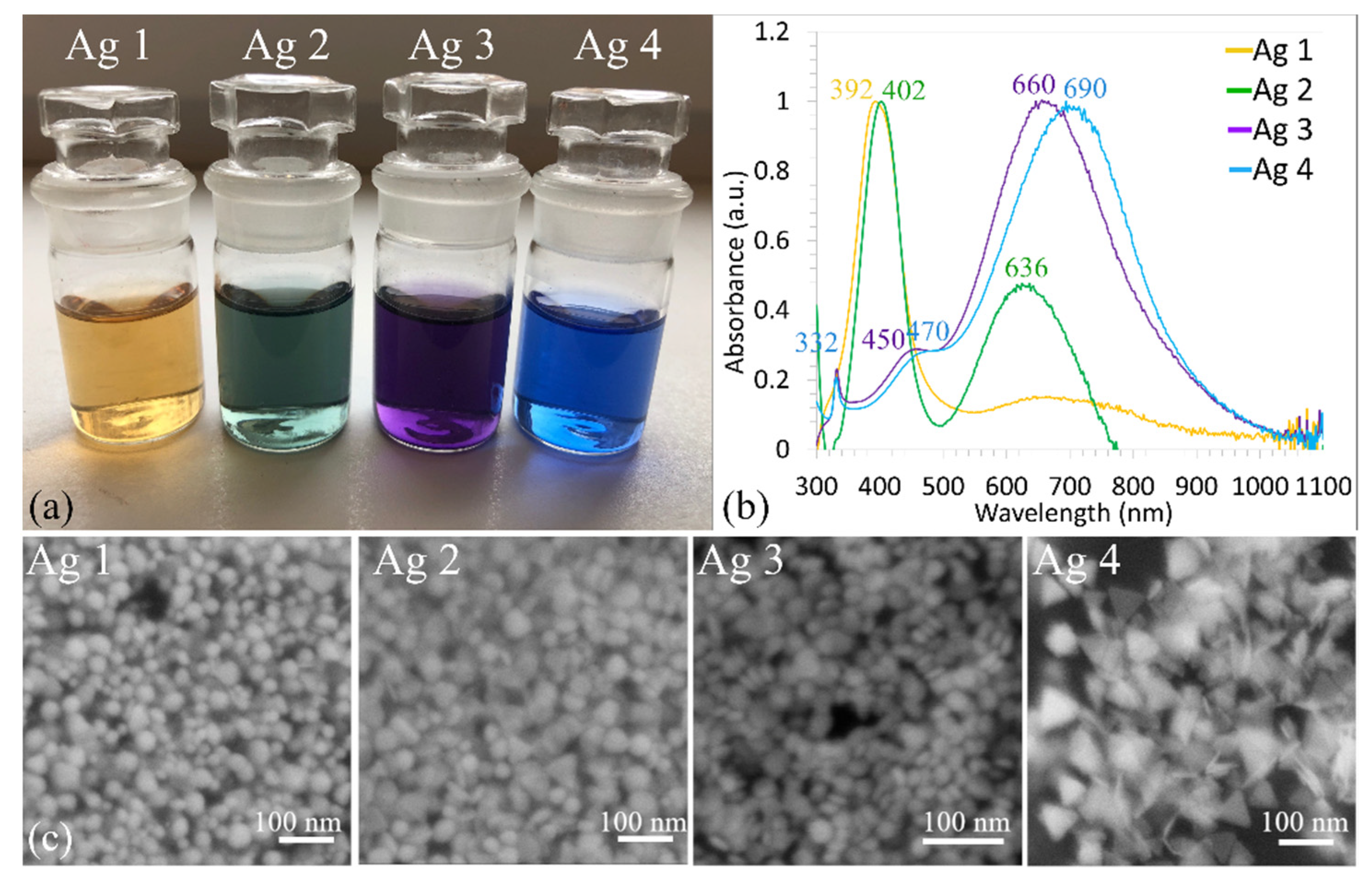 Polymers 14 02666 g001 550