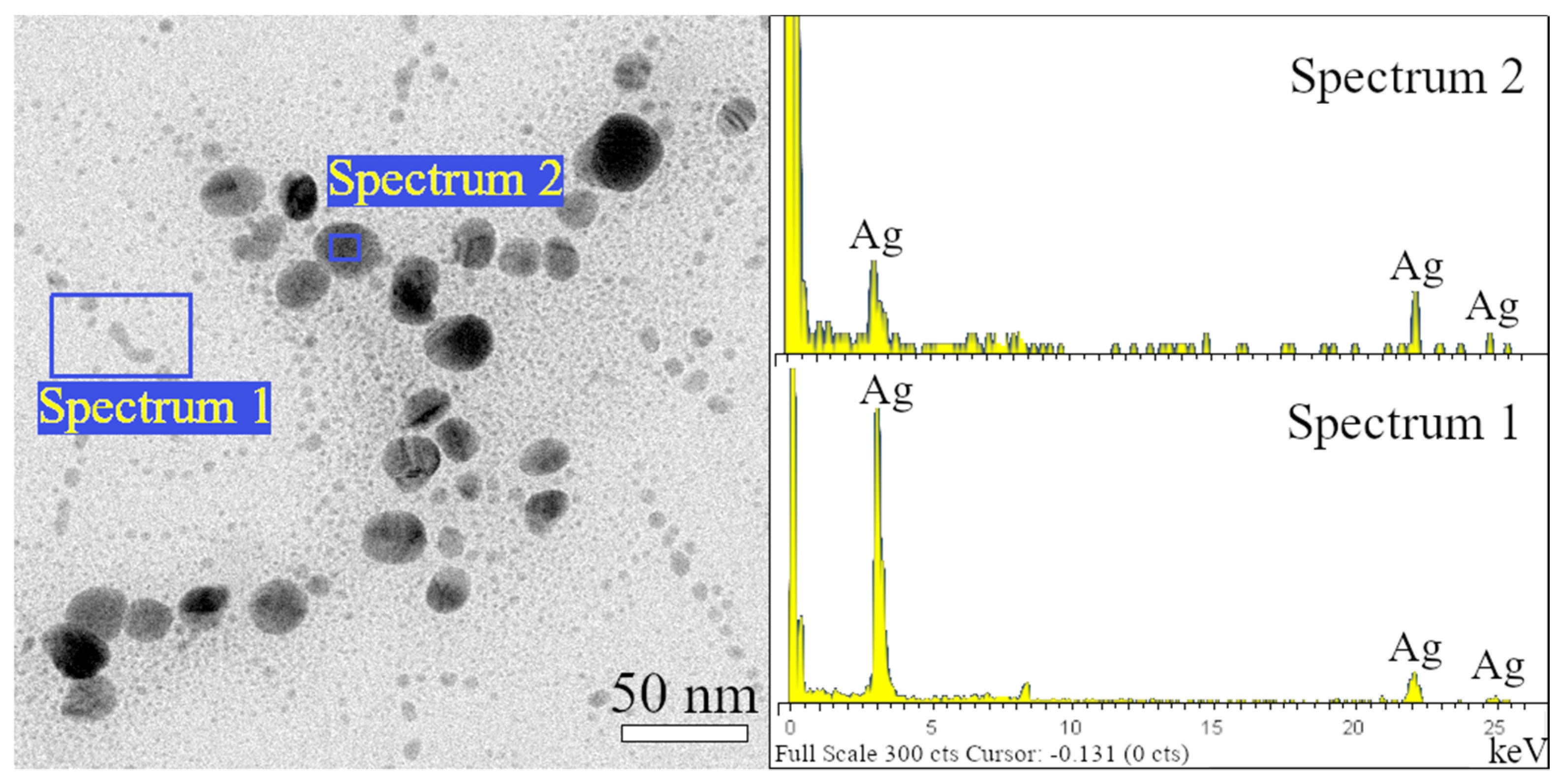 Polymers 14 02666 g004 550