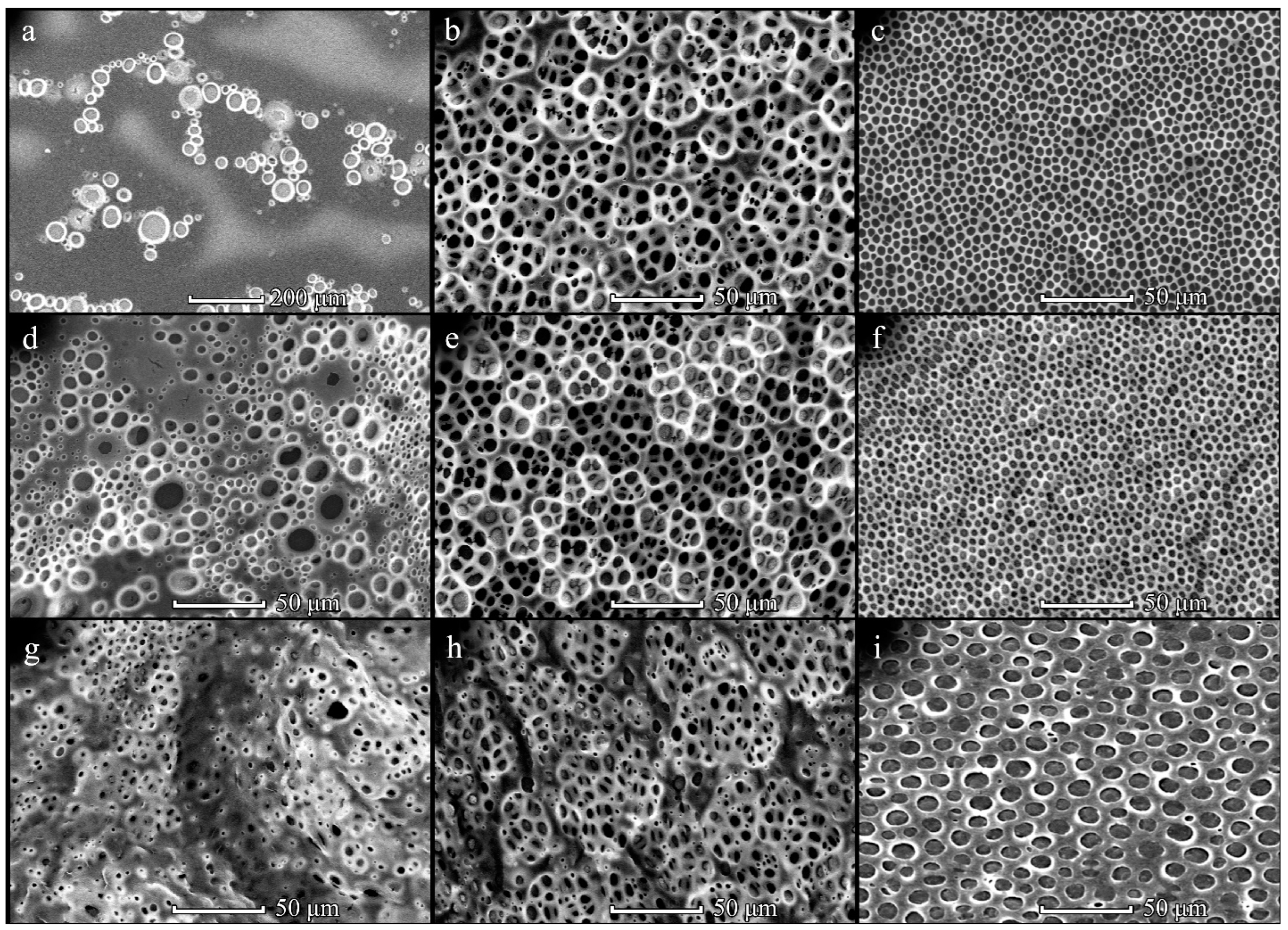 Polymers 14 02671 g001