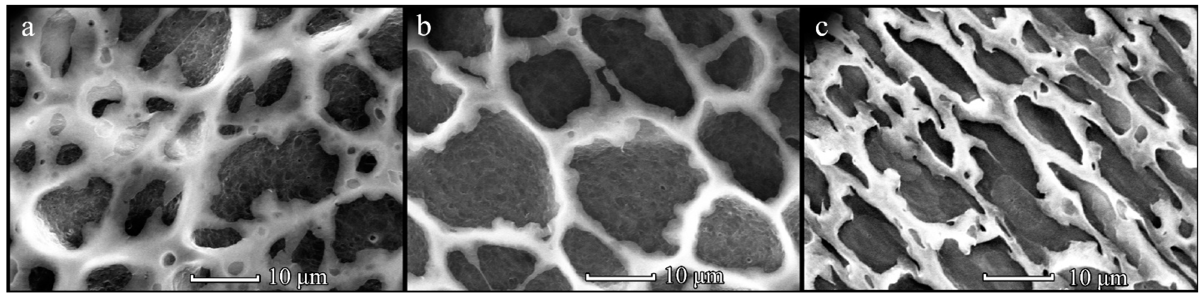 Polymers 14 02671 g003