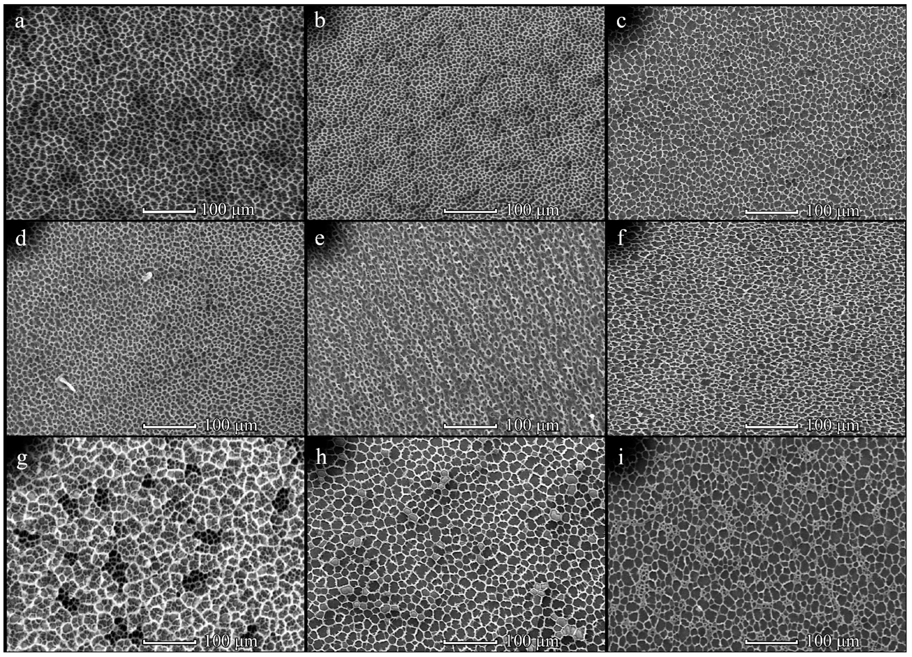 Polymers 14 02671 g005
