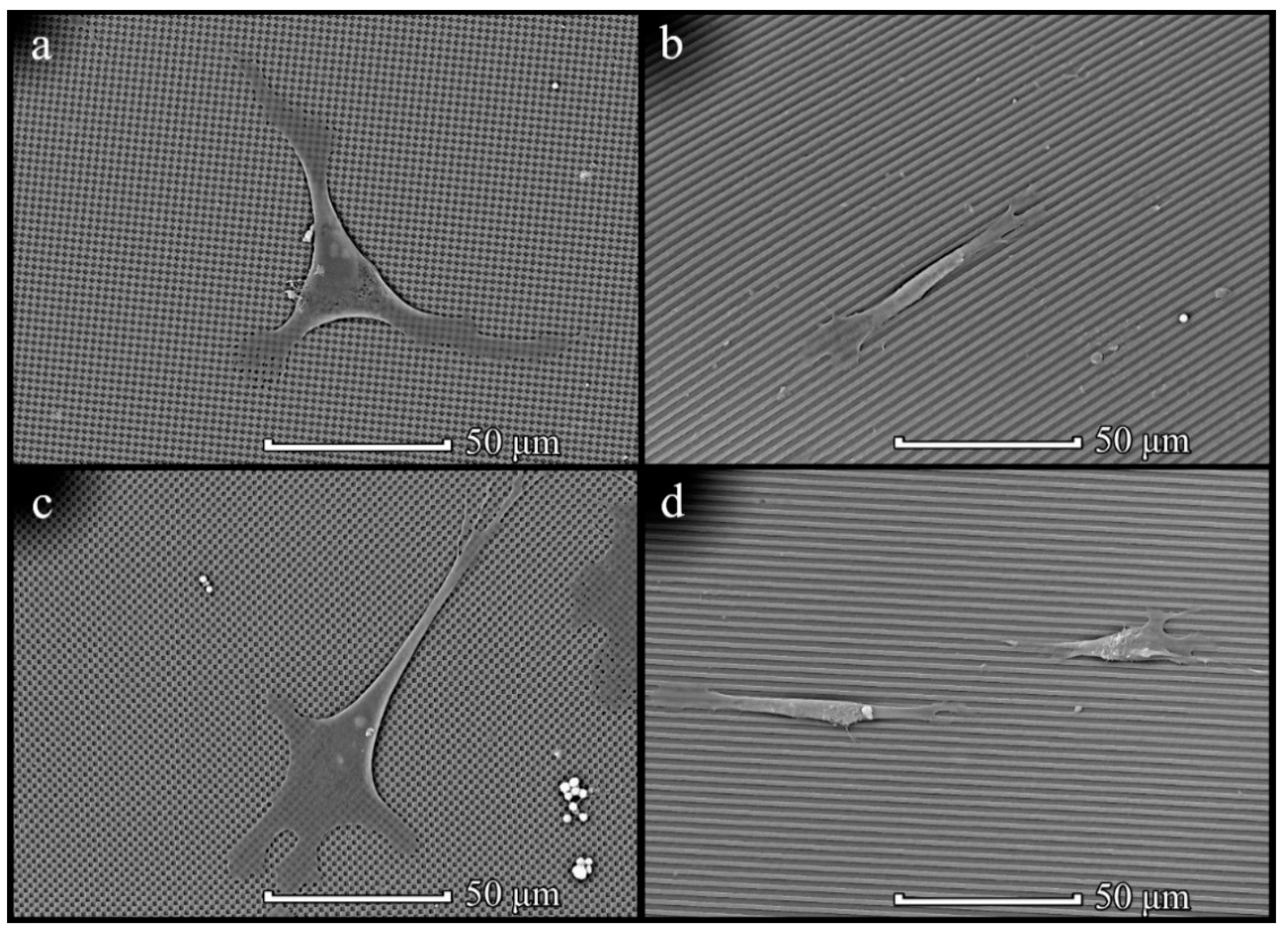 Polymers 14 02671 g011
