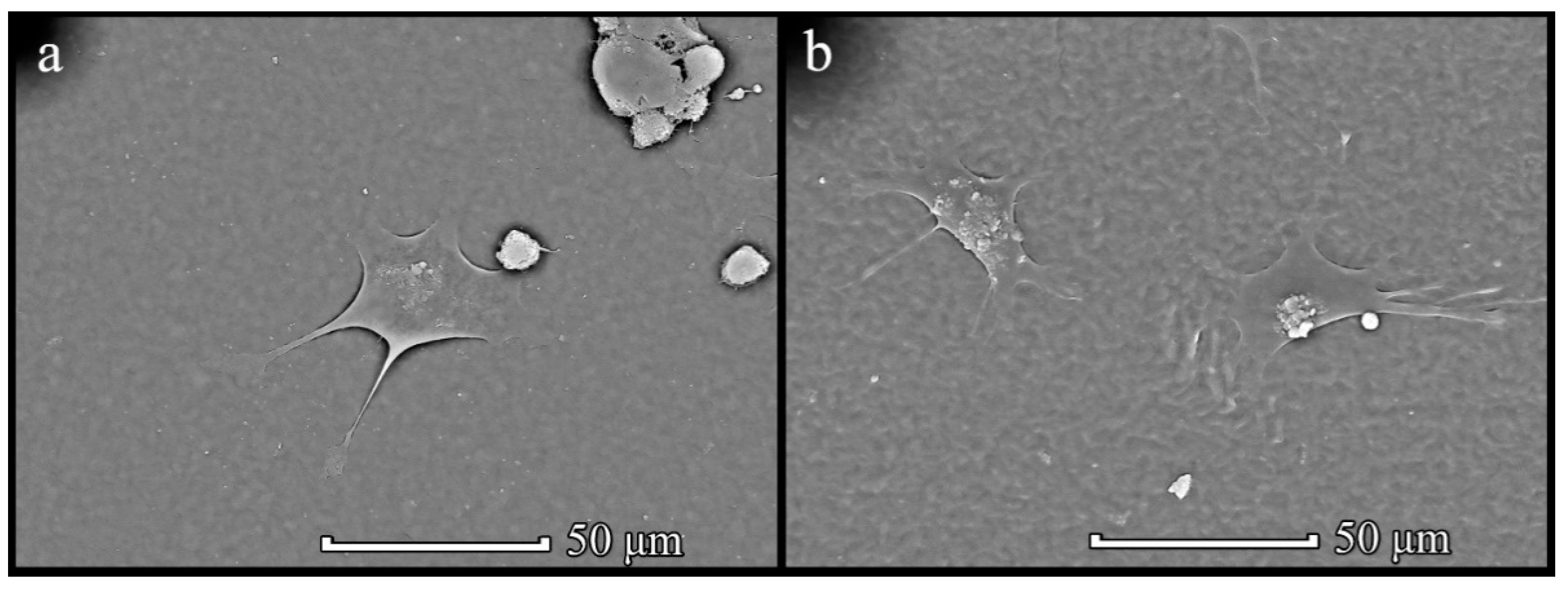 Polymers 14 02671 g012
