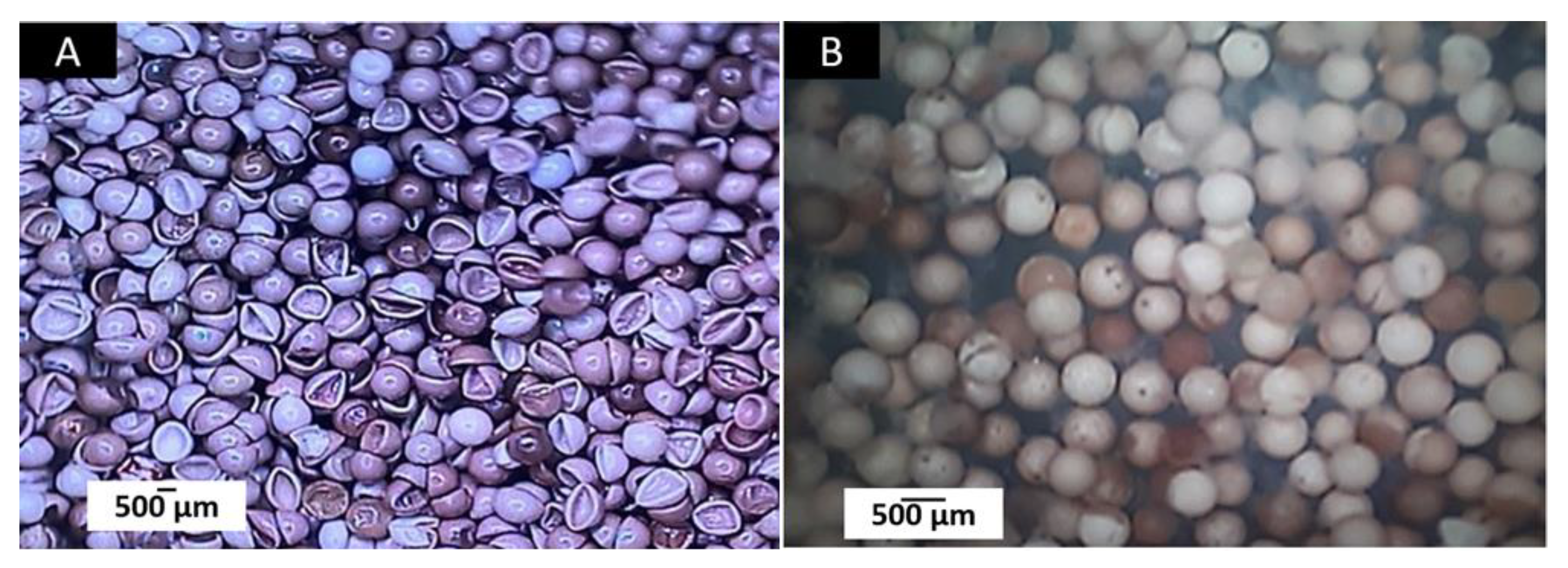 Polymers 14 02672 g004
