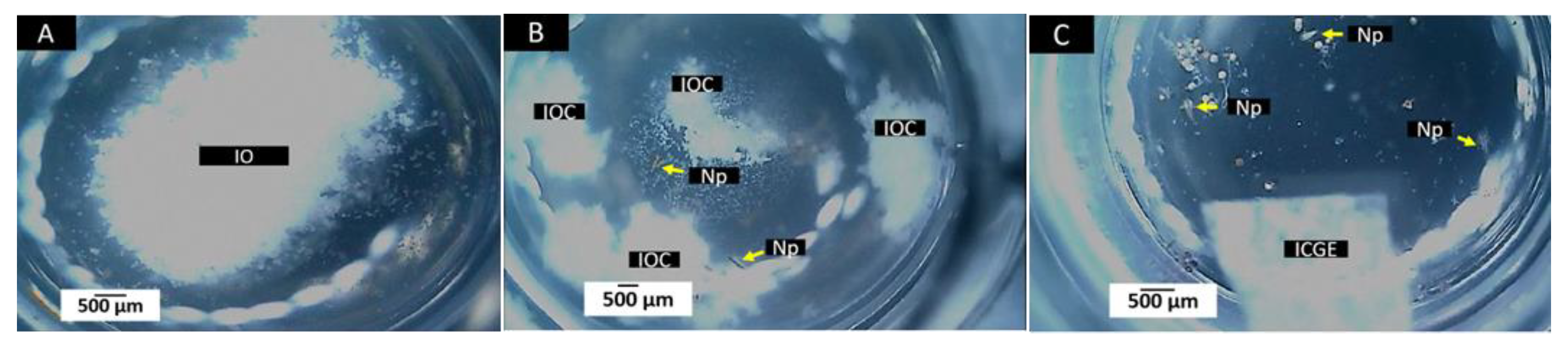 Polymers 14 02672 g005