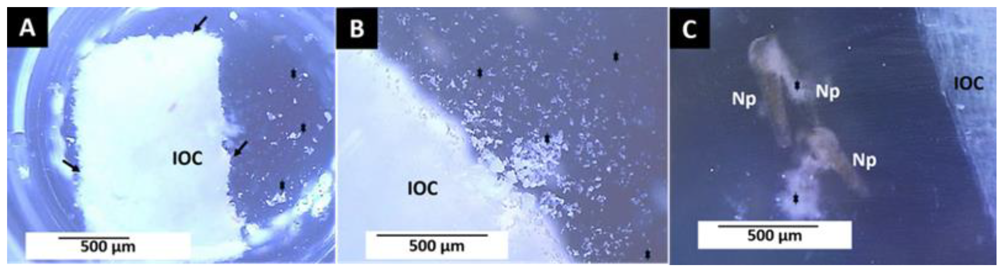 Polymers 14 02672 g007