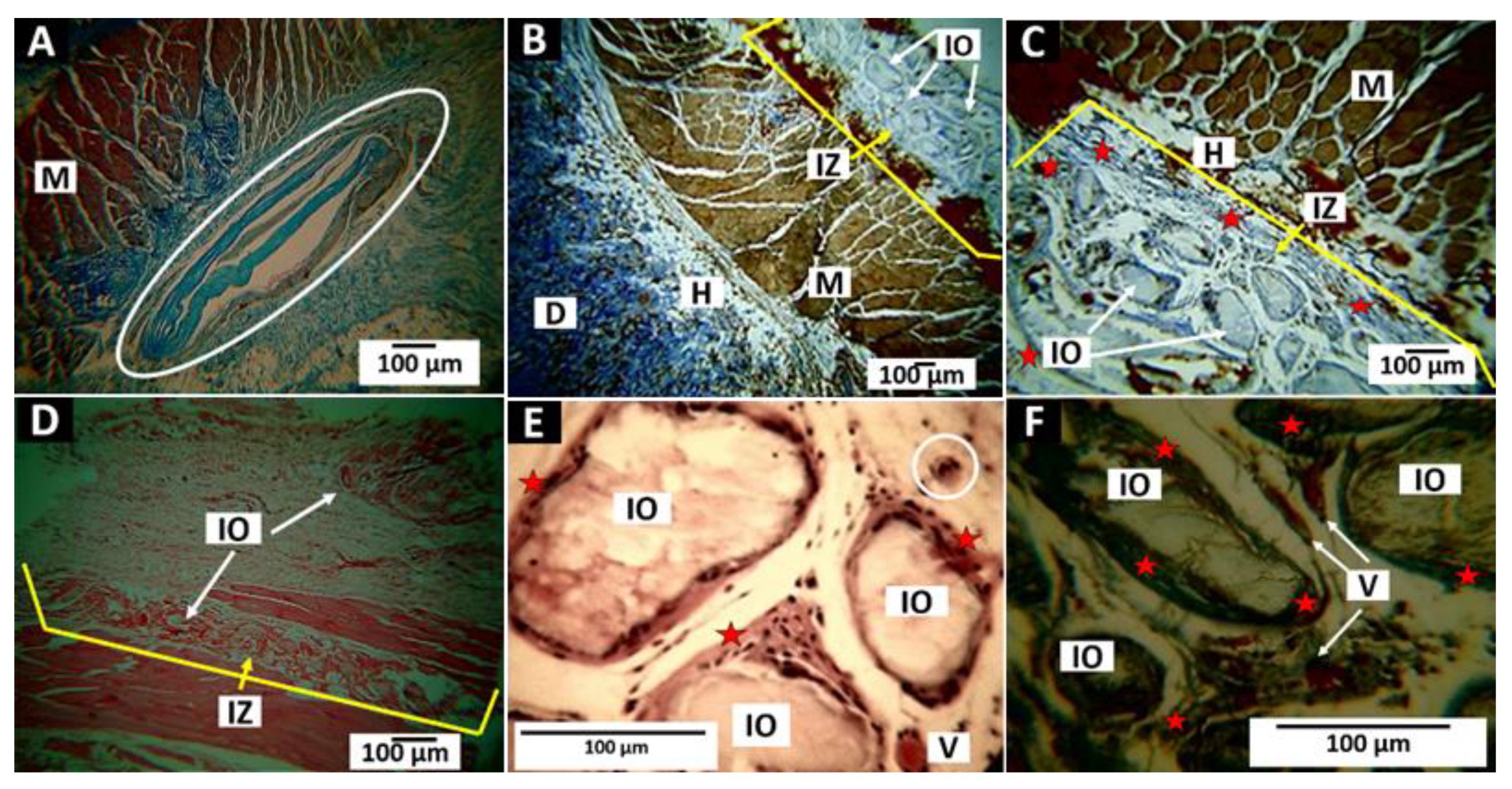 Polymers 14 02672 g011