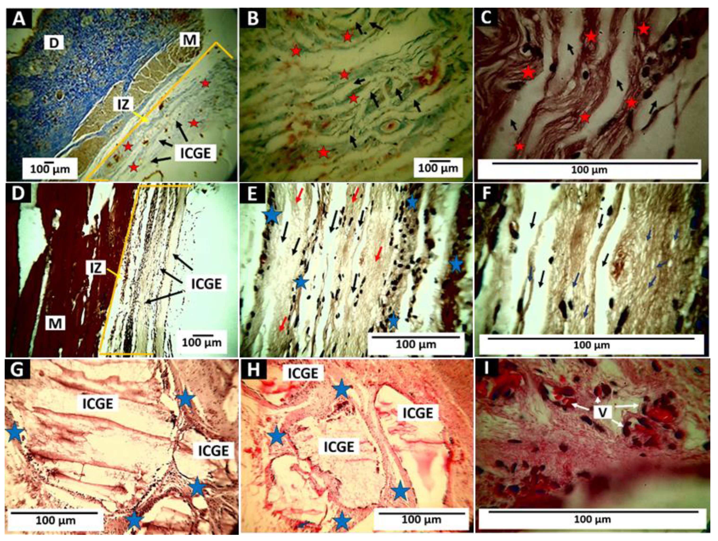 Polymers 14 02672 g013