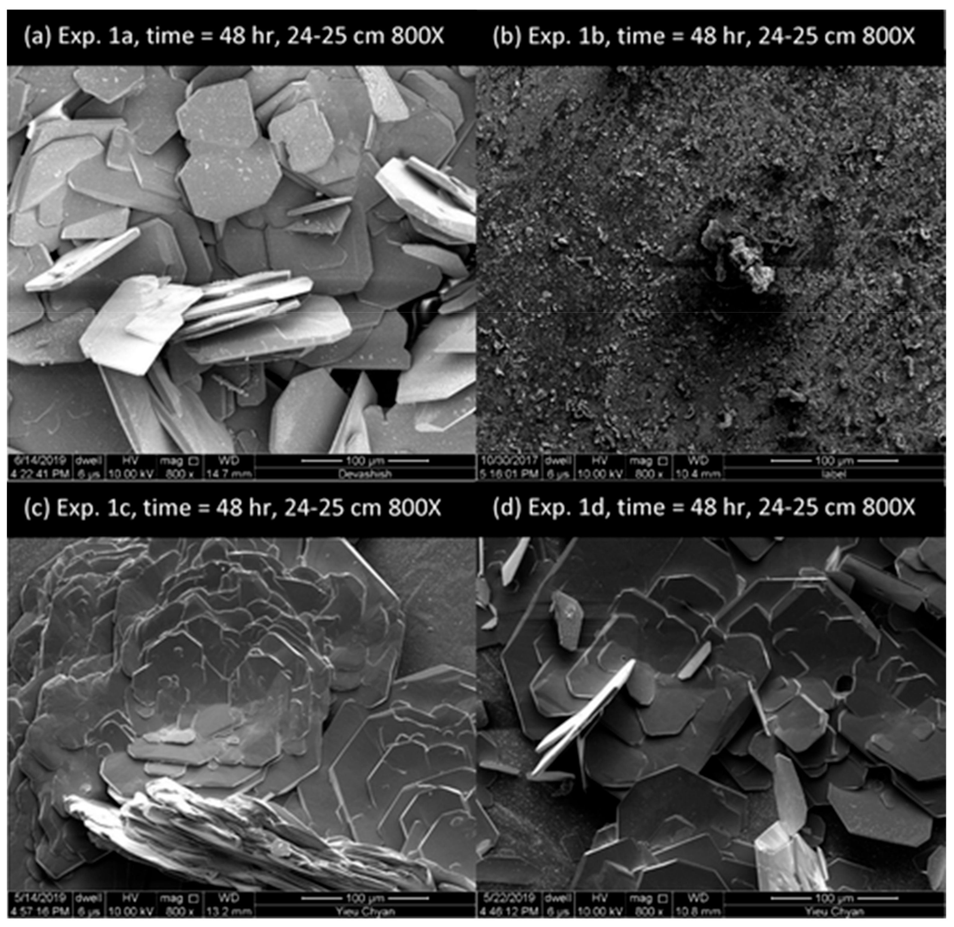 Polymers 14 02673 g001
