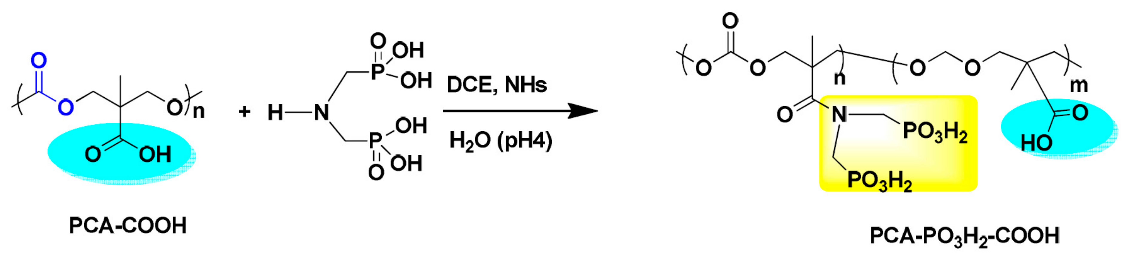 Polymers 14 02673 g006