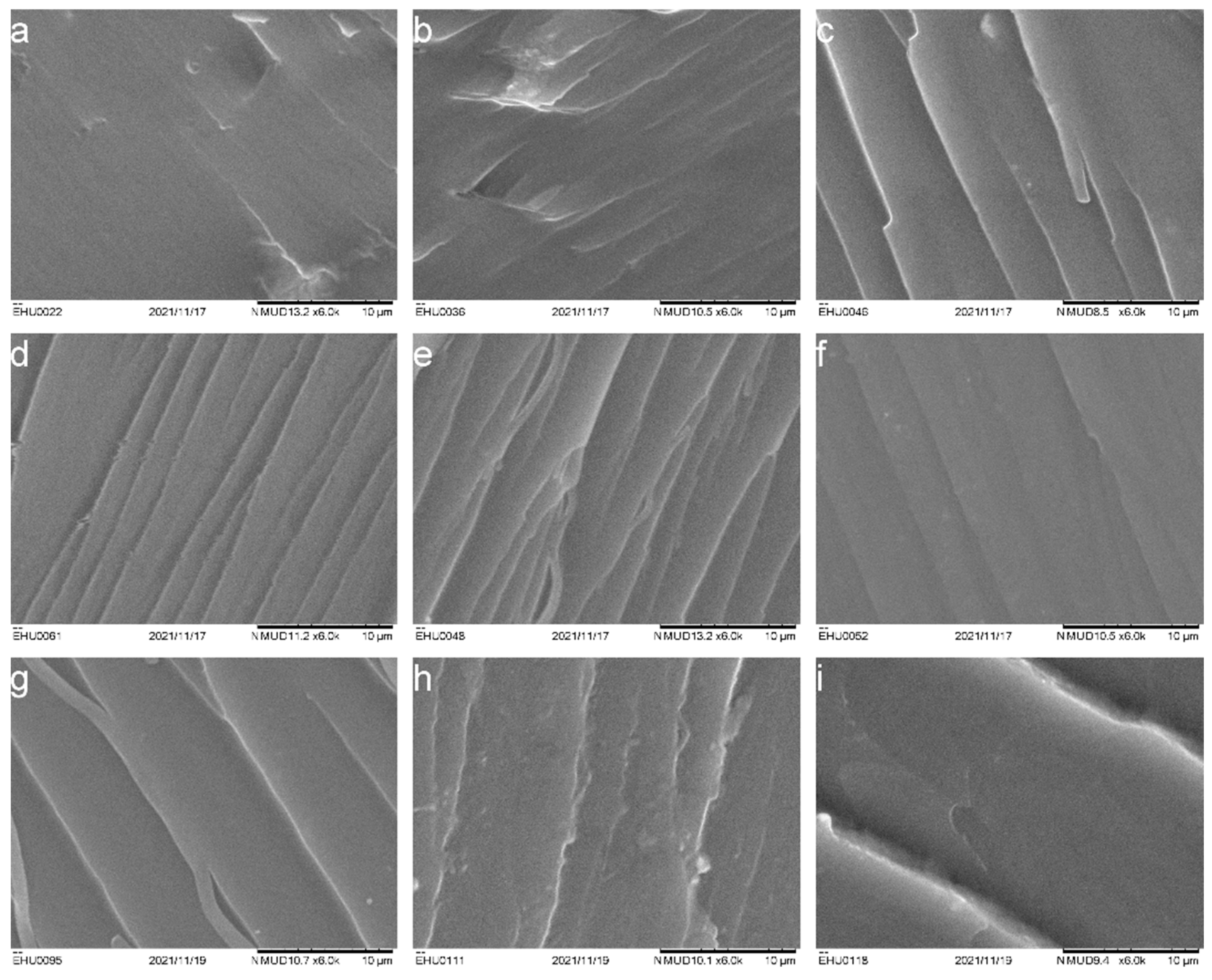 Polymers 14 02679 g004