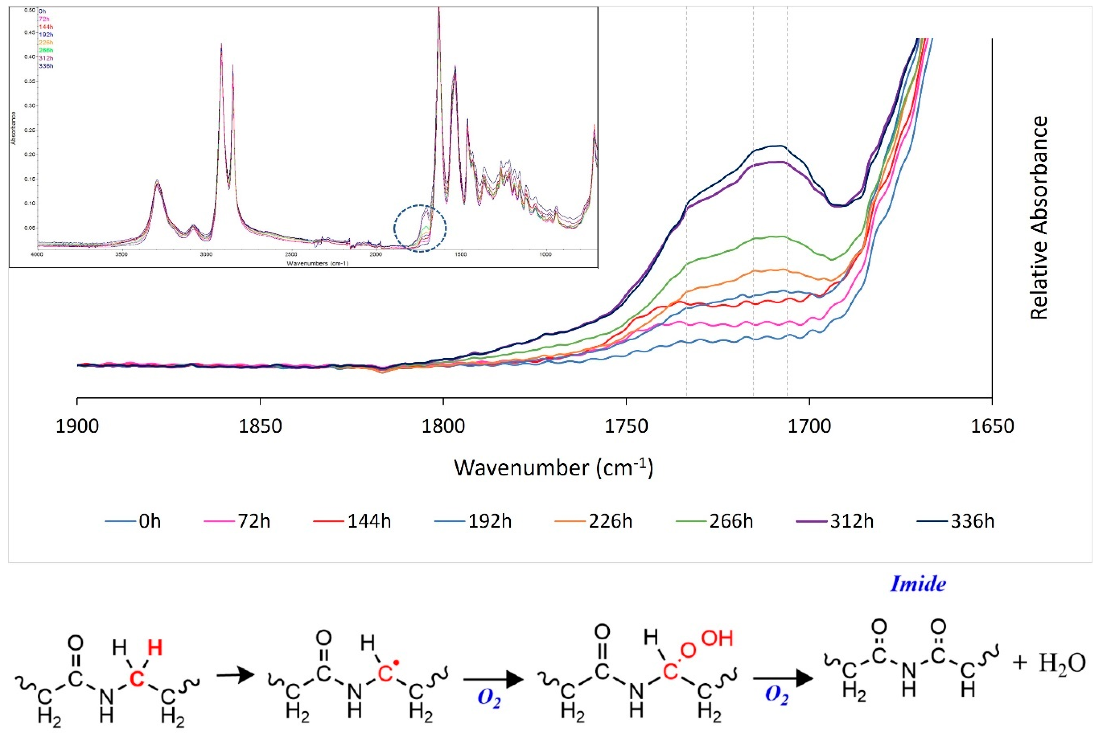 Polymers 14 02682 g007