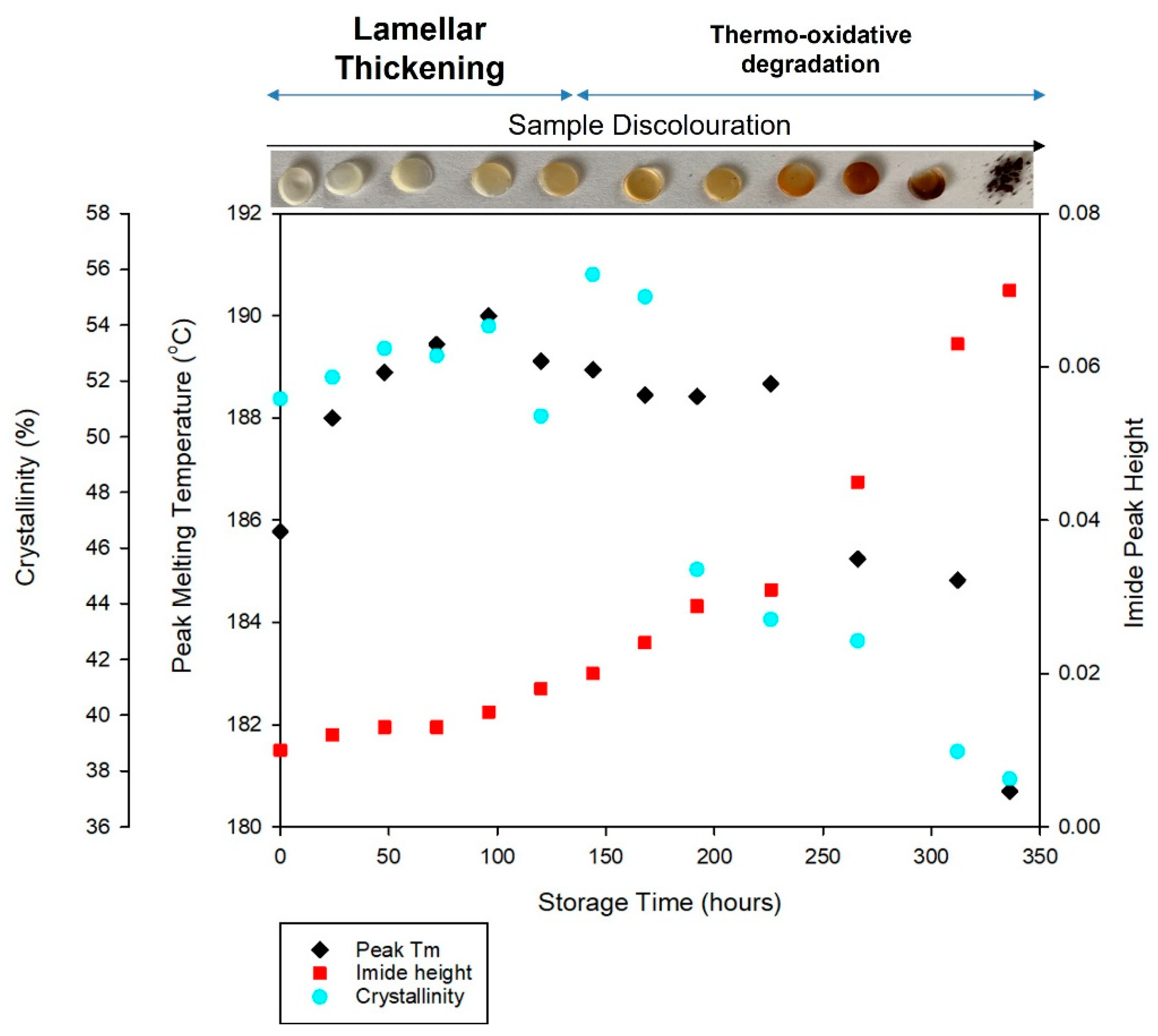 Polymers 14 02682 g008