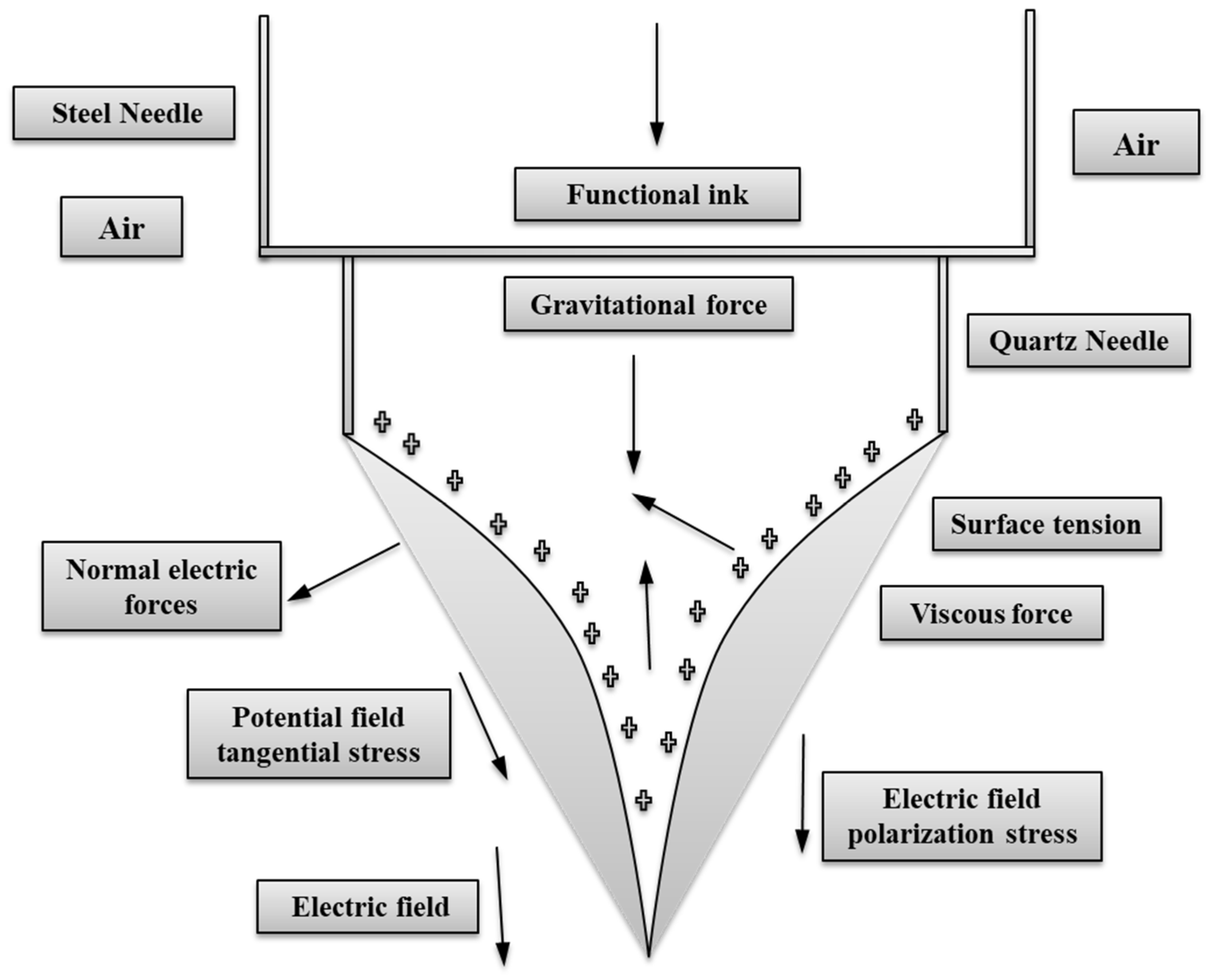 Polymers 14 02683 g001