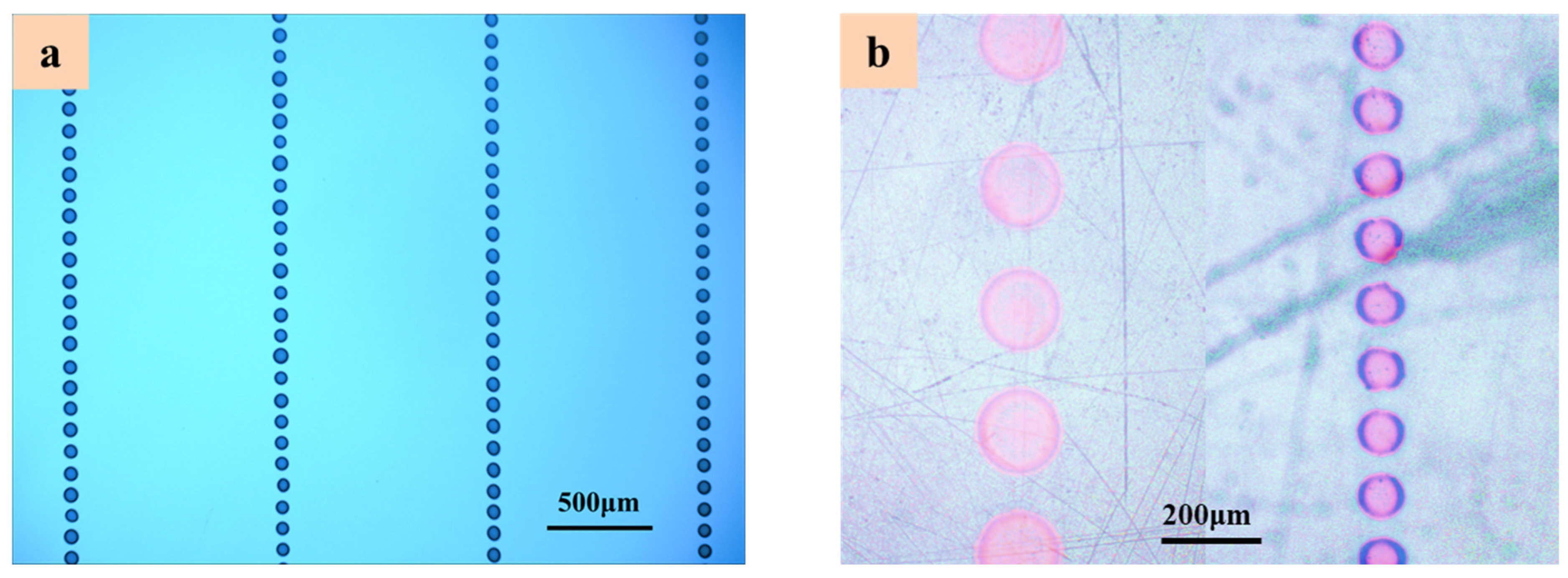 Polymers 14 02683 g008