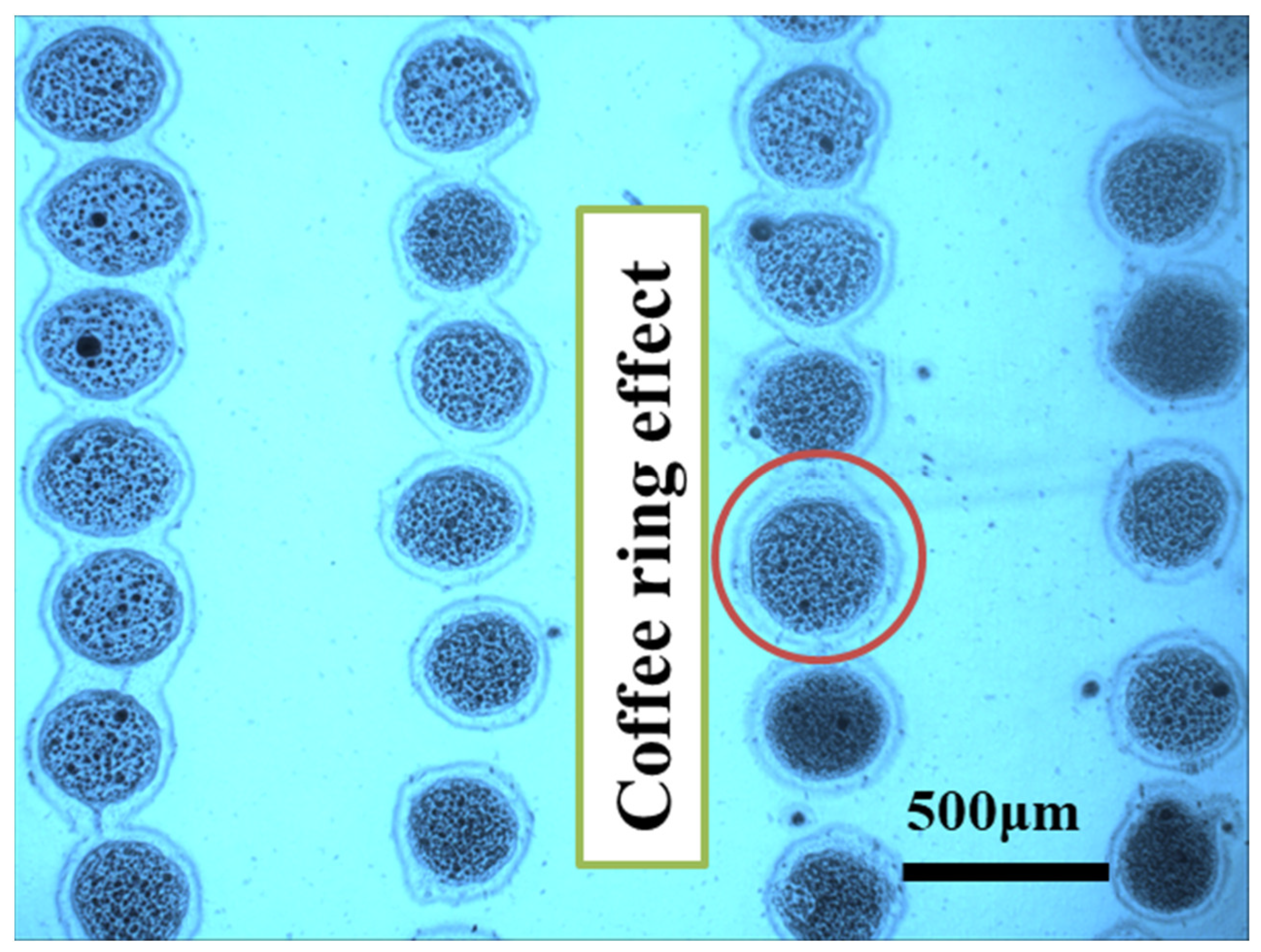 Polymers 14 02683 g009