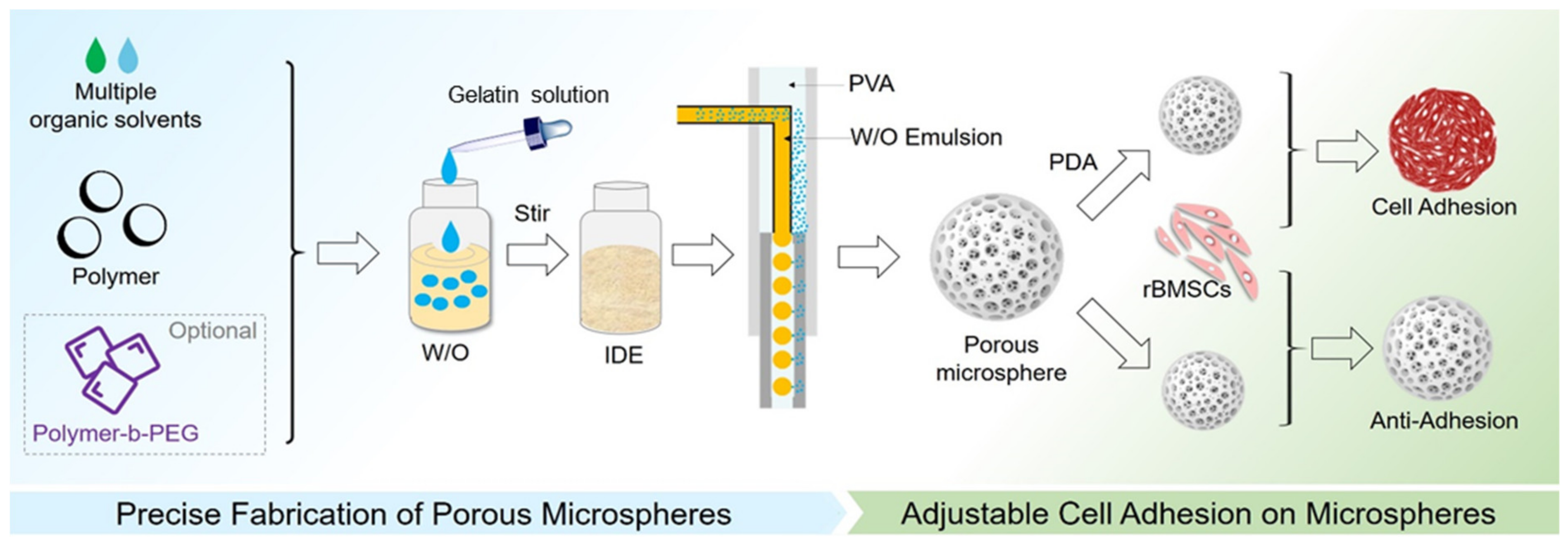 Polymers Free FullText Precise Fabrication of Porous Microspheres