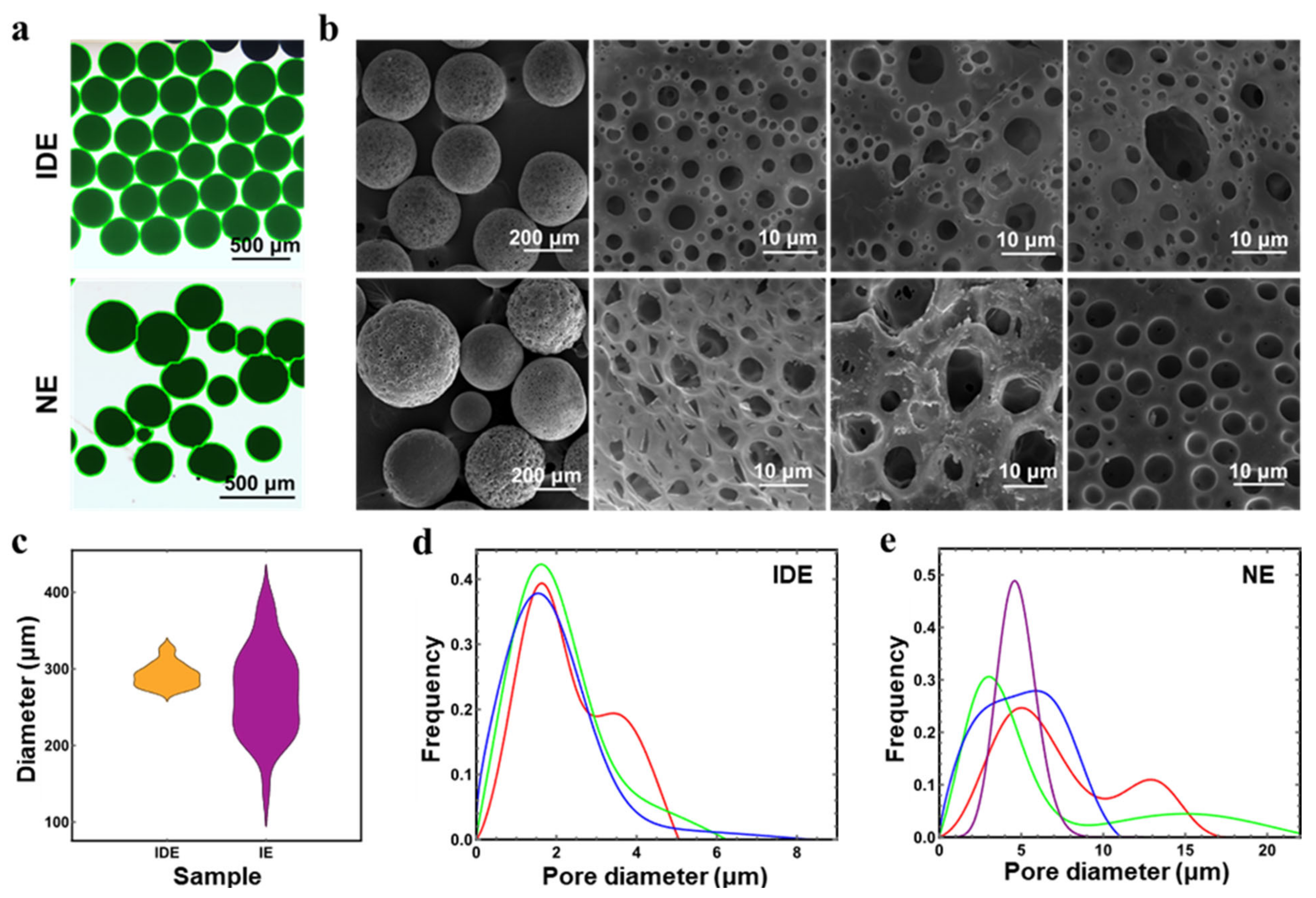 Polymers 14 02687 g003