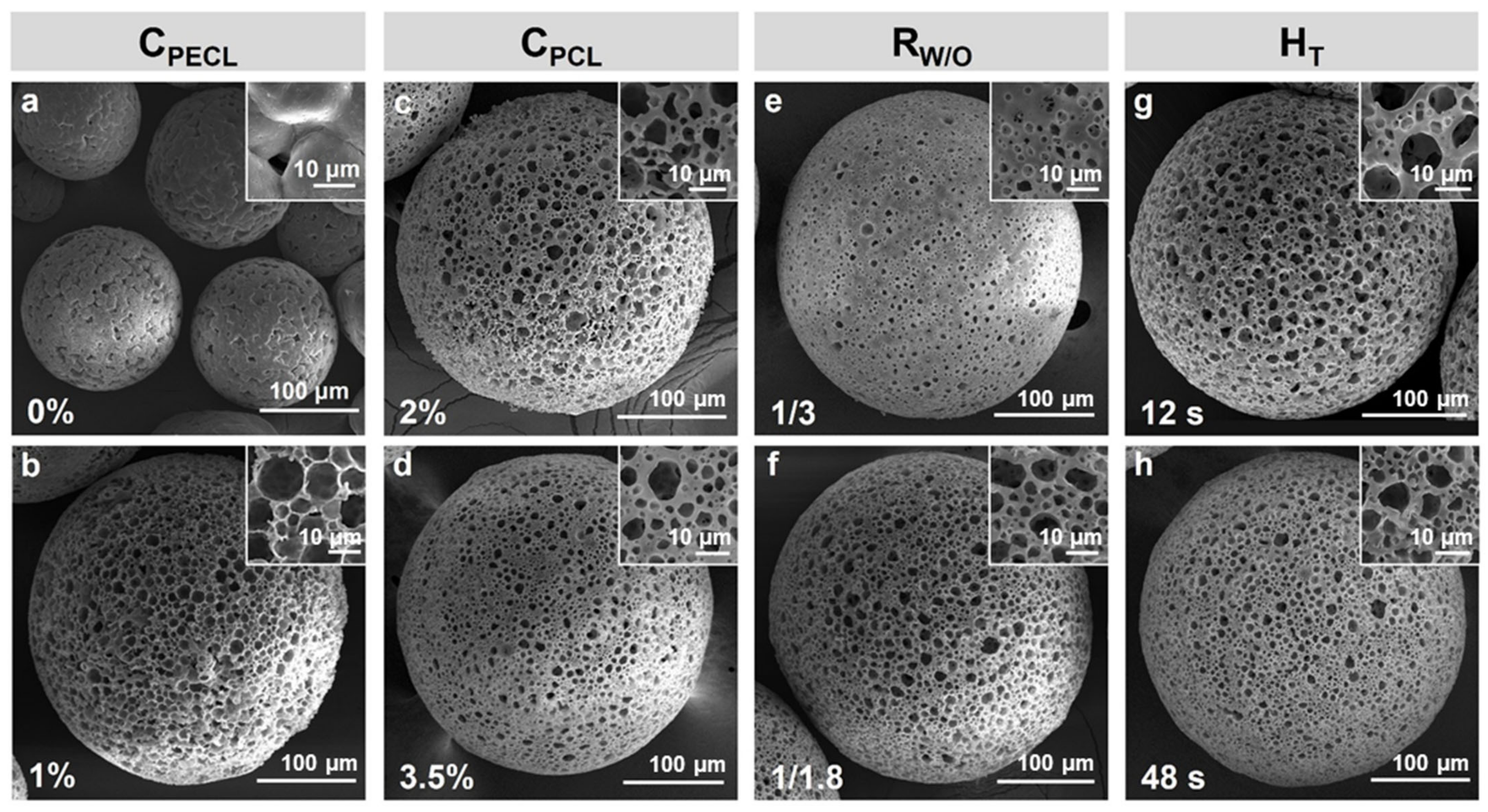 Polymers 14 02687 g004