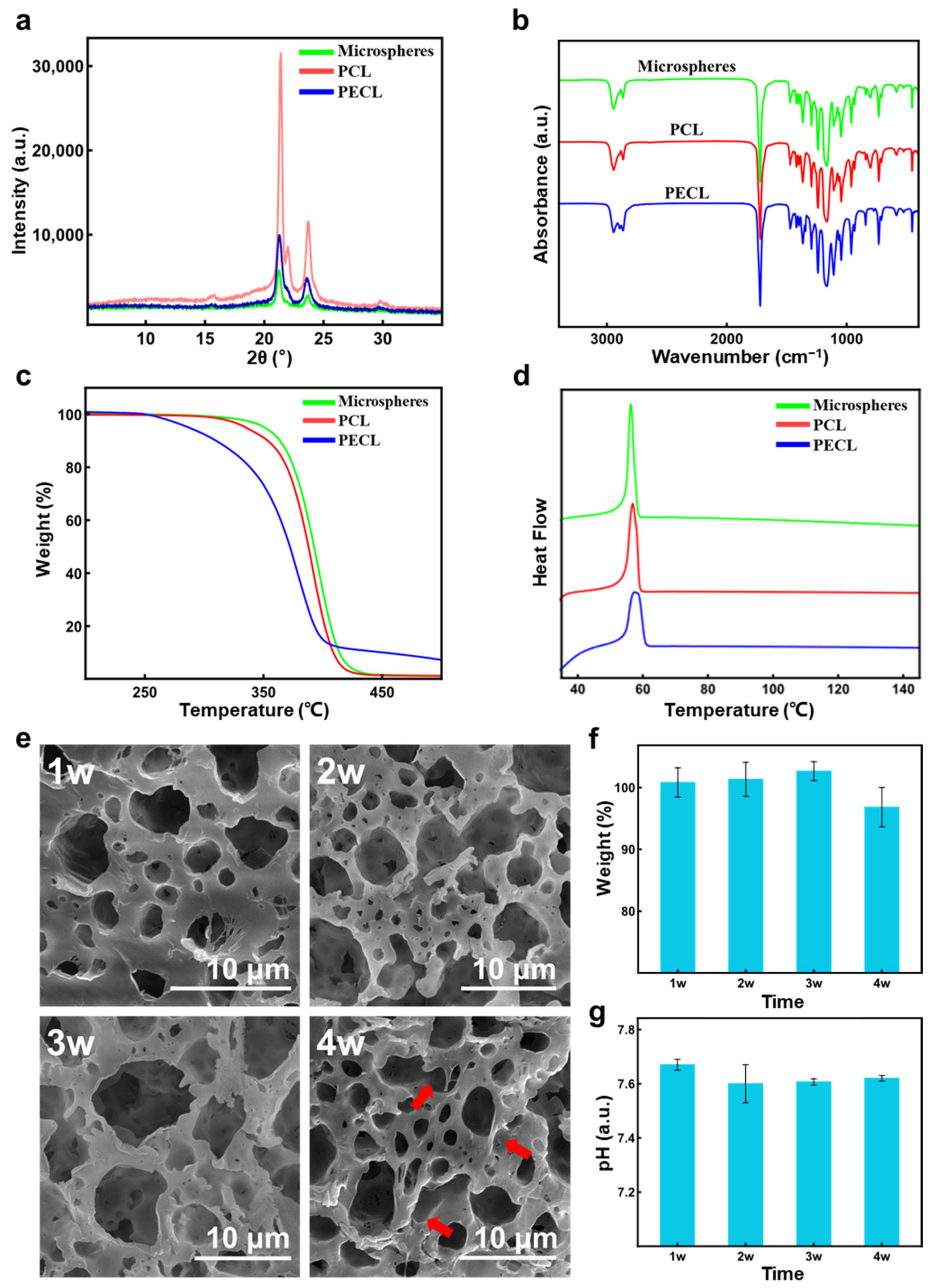 Polymers 14 02687 g006