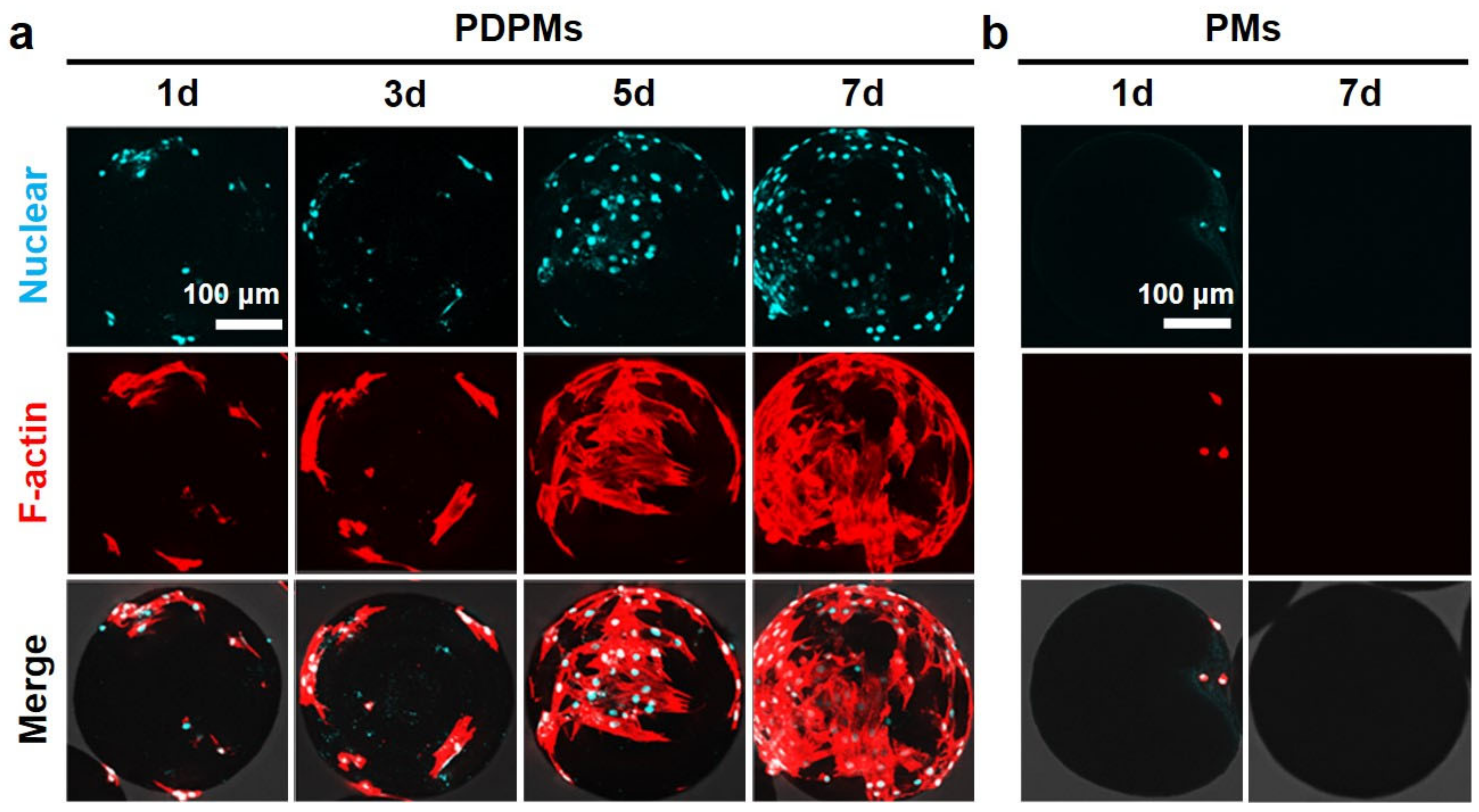 Polymers 14 02687 g008
