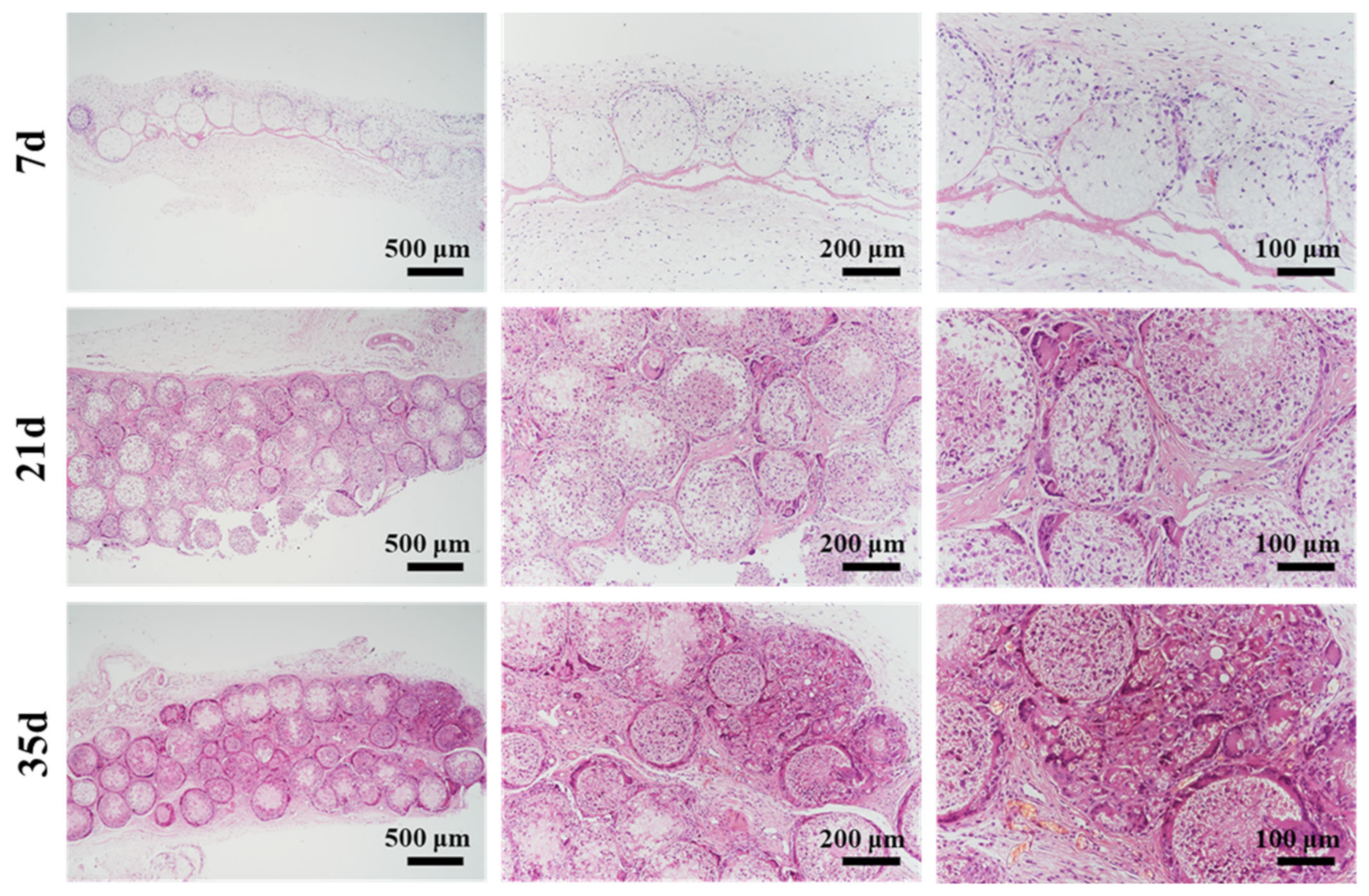 Polymers 14 02687 g009