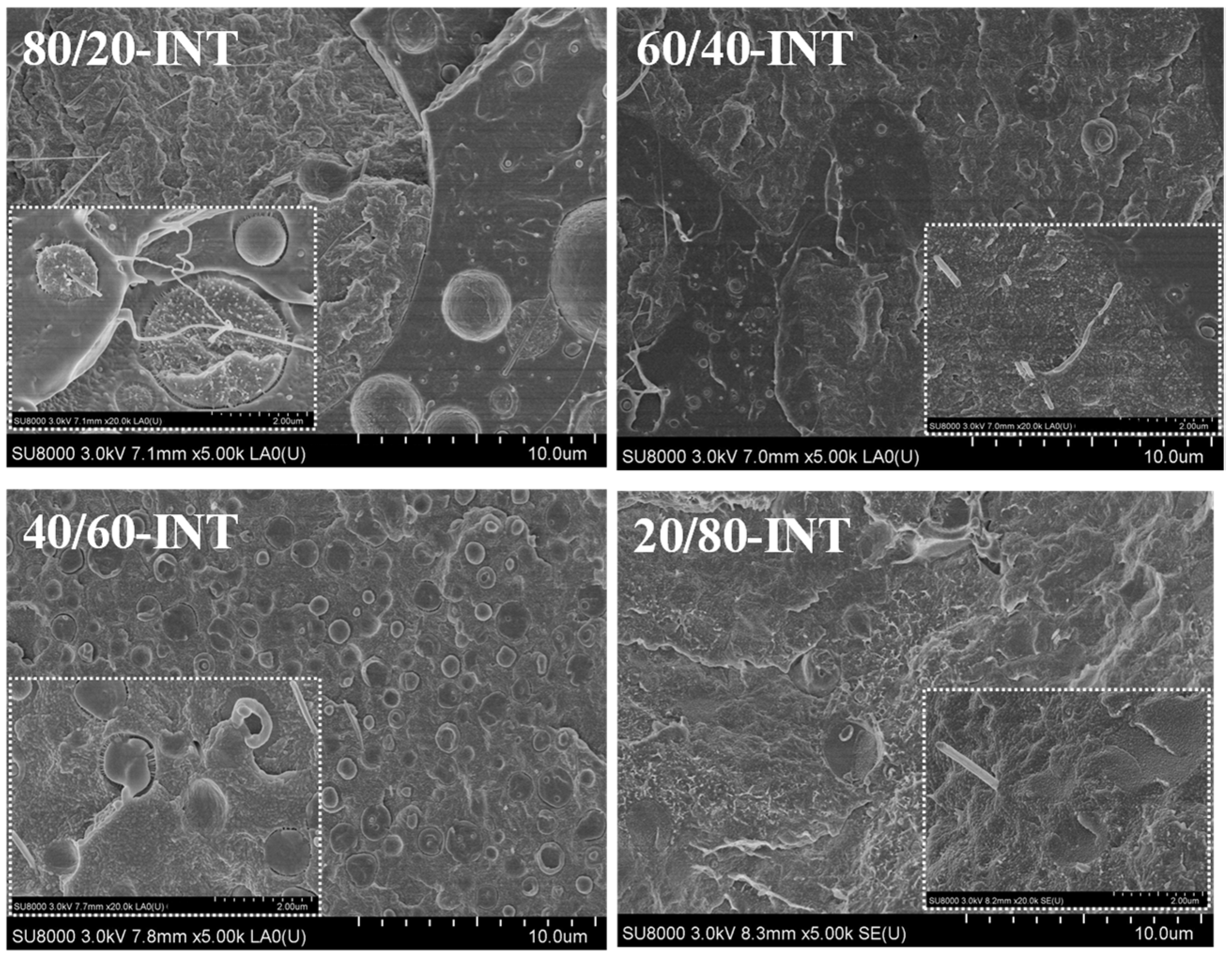 Polymers 14 02692 g001 550