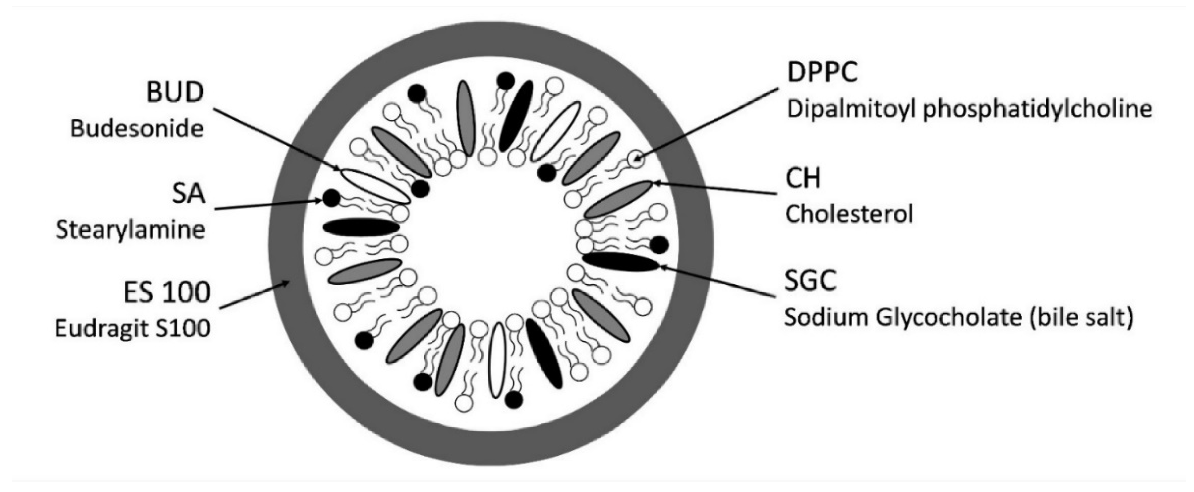 Polymers 14 02693 g001