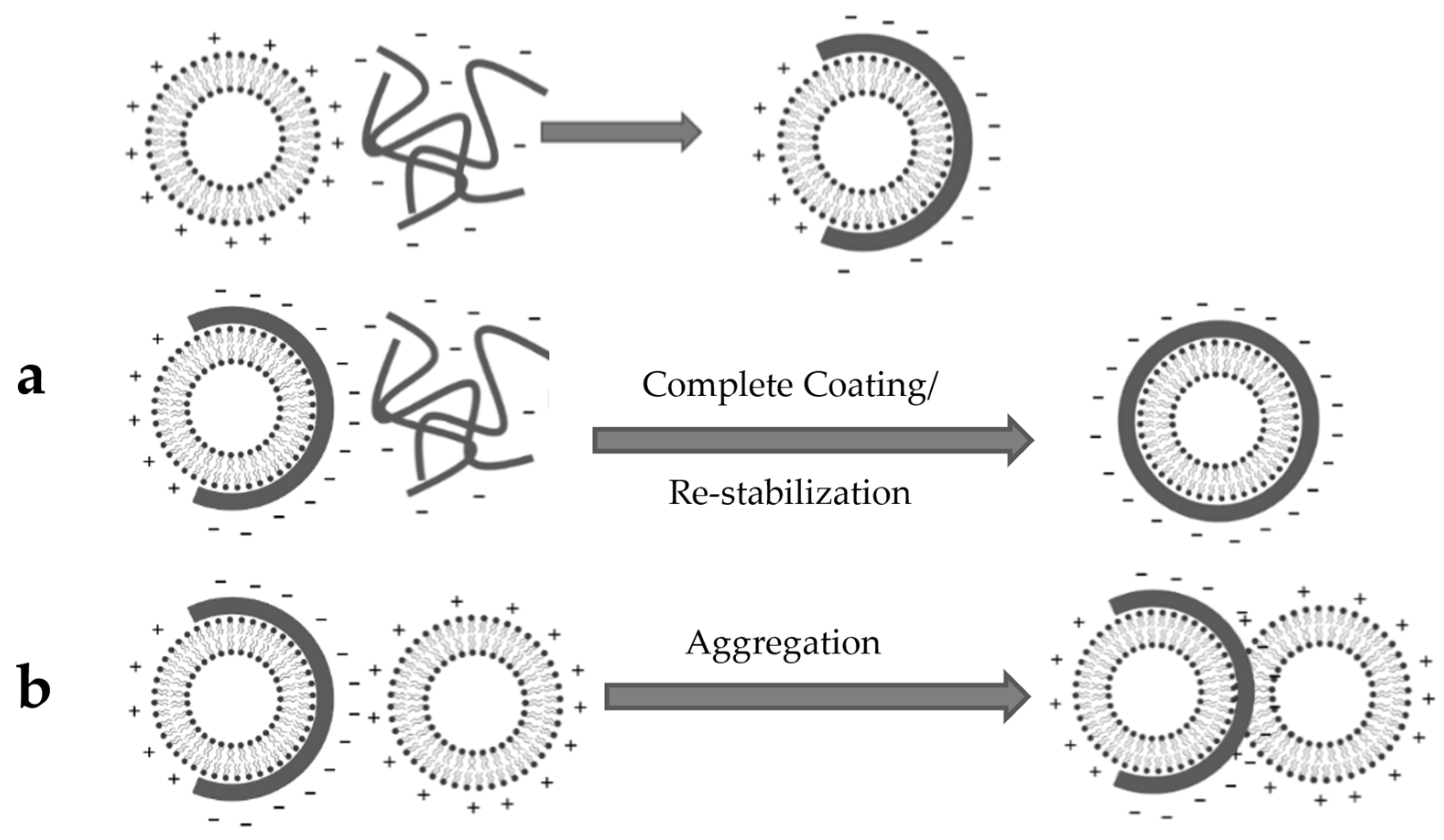 Polymers 14 02693 g010