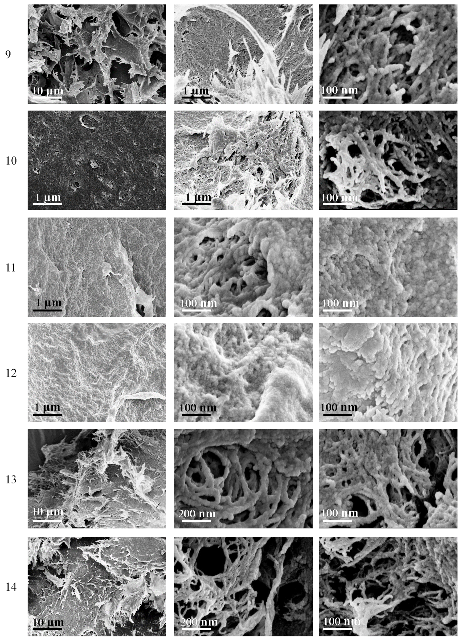 Polymers 14 02694 g005