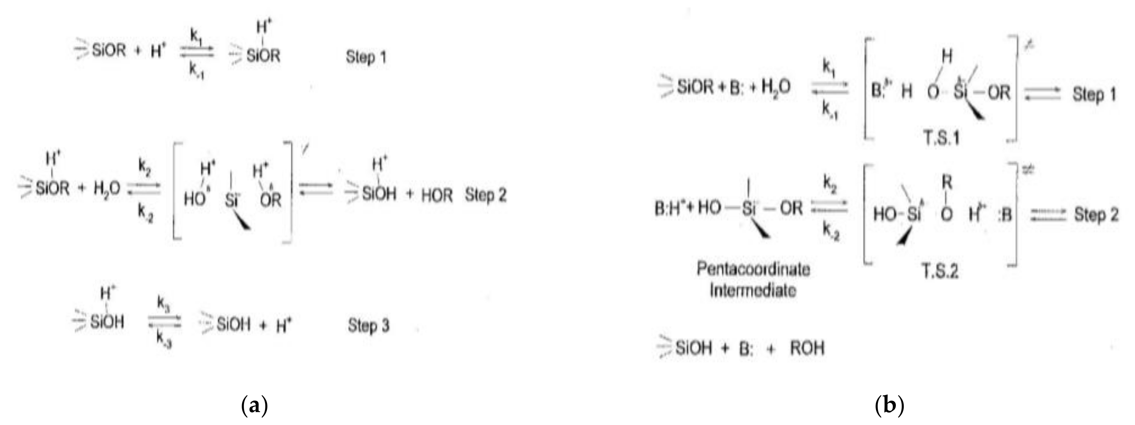 Polymers 14 02705 g001 Polymers 14 02705 g001