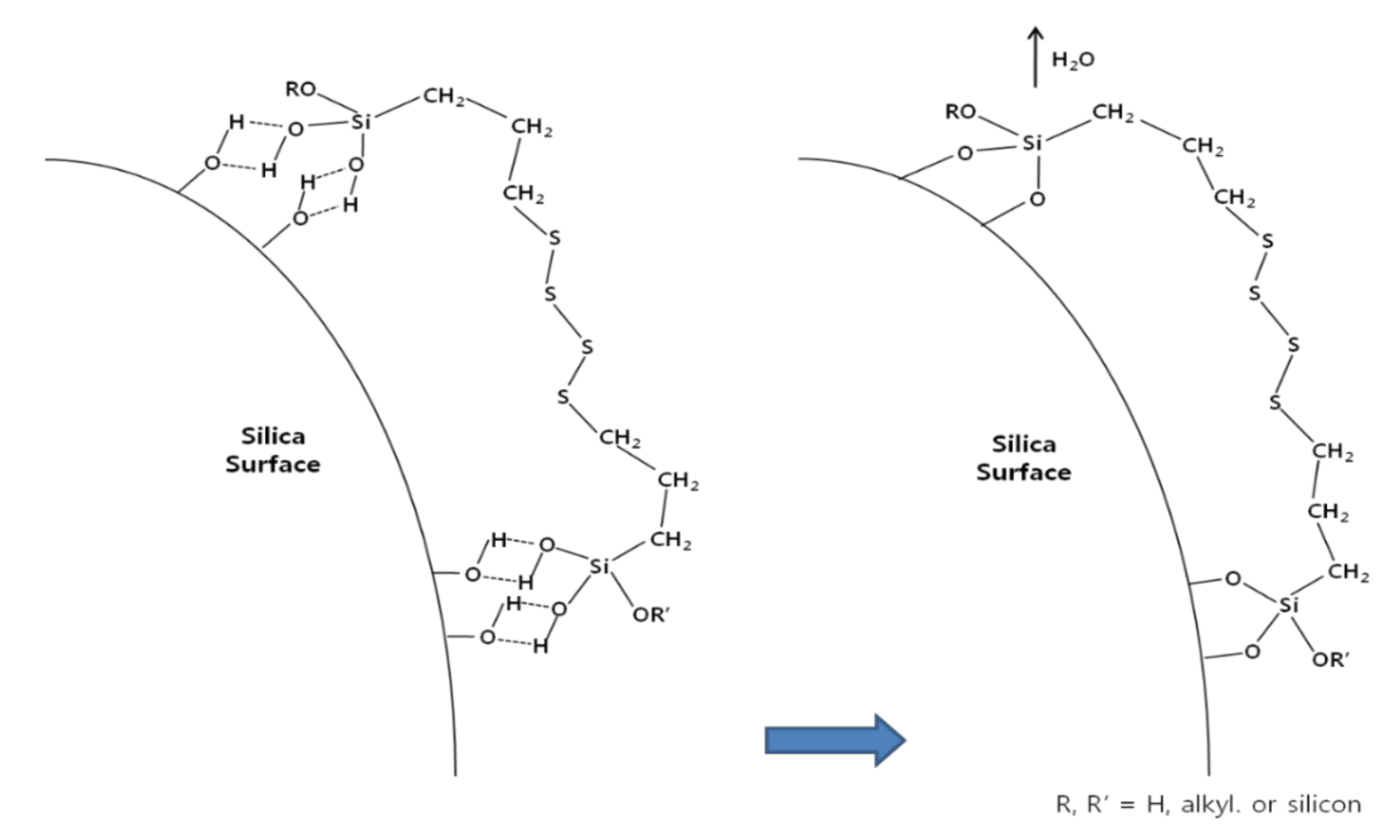 Polymers 14 02705 g003
