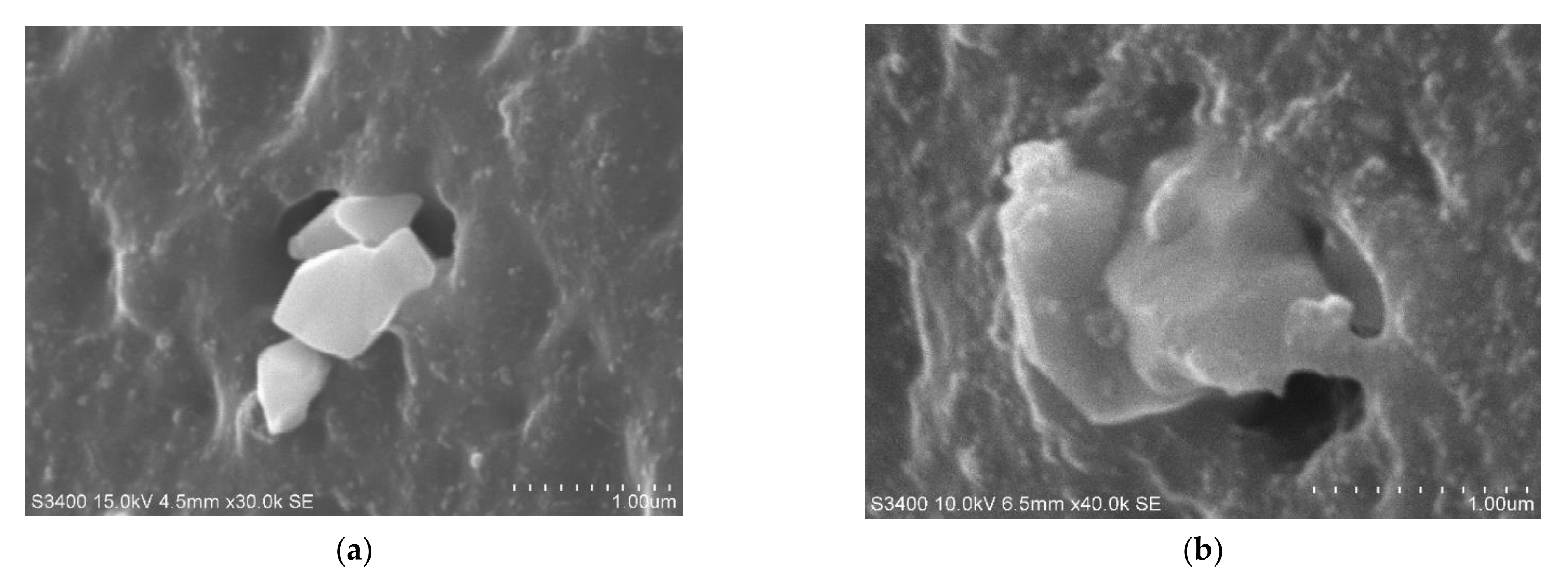 Polymers 14 02705 g008 Polymers 14 02705 g008
