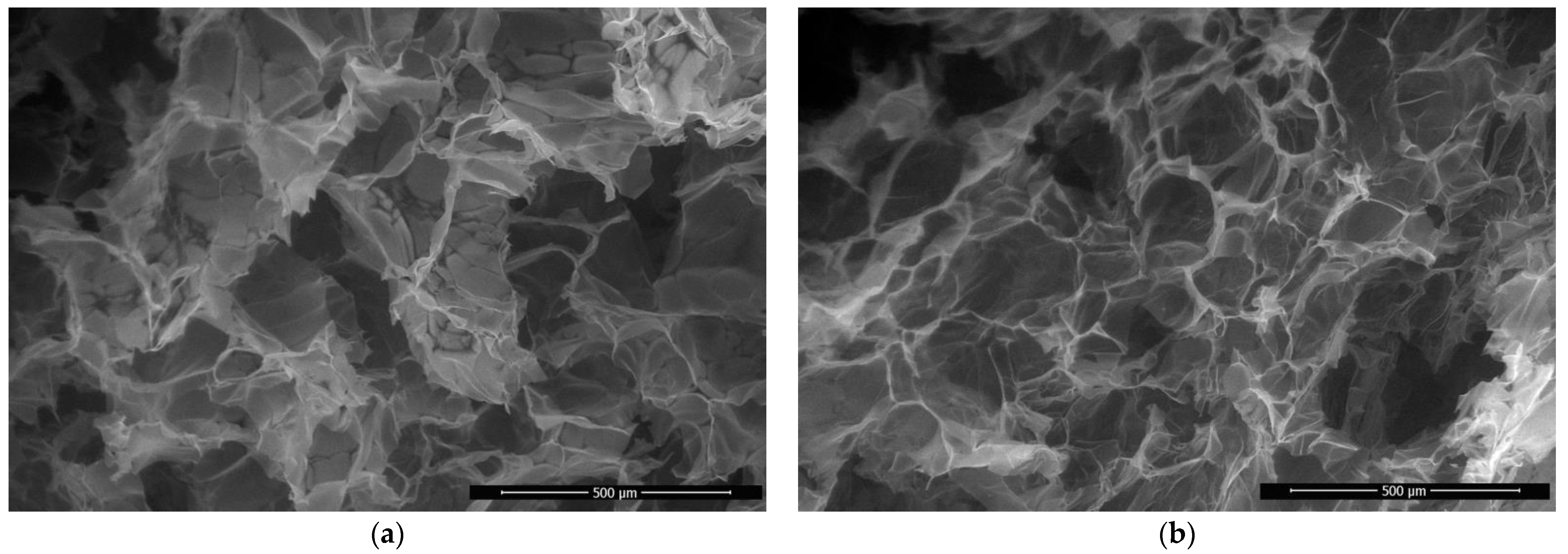 Polymers 14 02711 g004