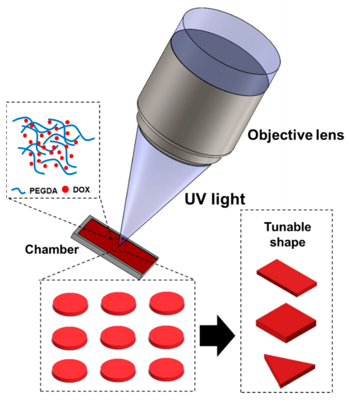 Polymers 14 02714 g001 550