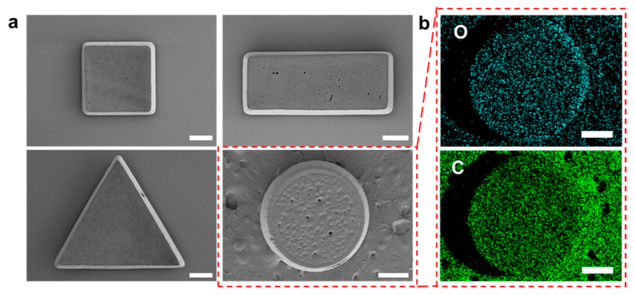 Polymers 14 02714 g002 550